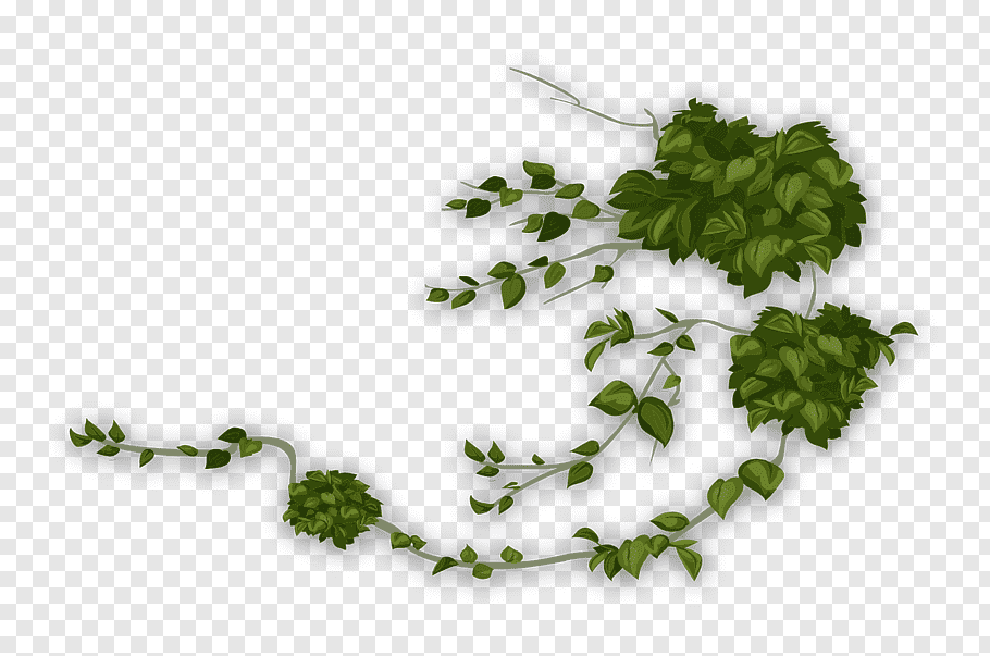 Drawing Of Family, Download, Computer Icons, Plants, - Png Tanaman , HD Wallpaper & Backgrounds