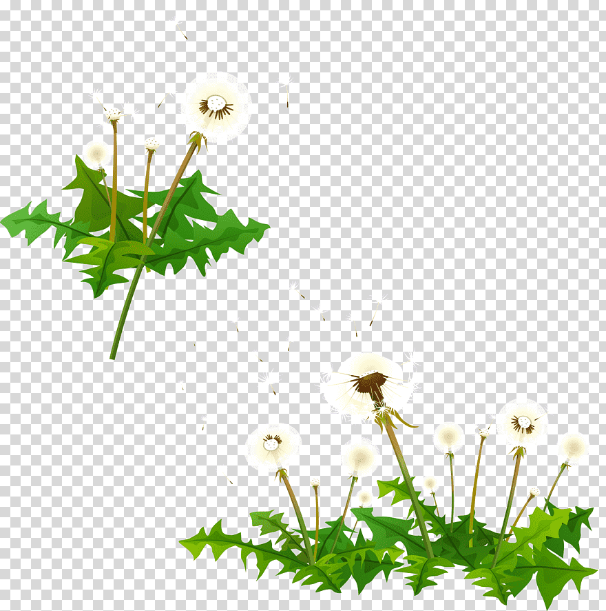 Desktop Plant Stem Leaf Computer Flower, Leaf, Branch, - Portable Network Graphics , HD Wallpaper & Backgrounds