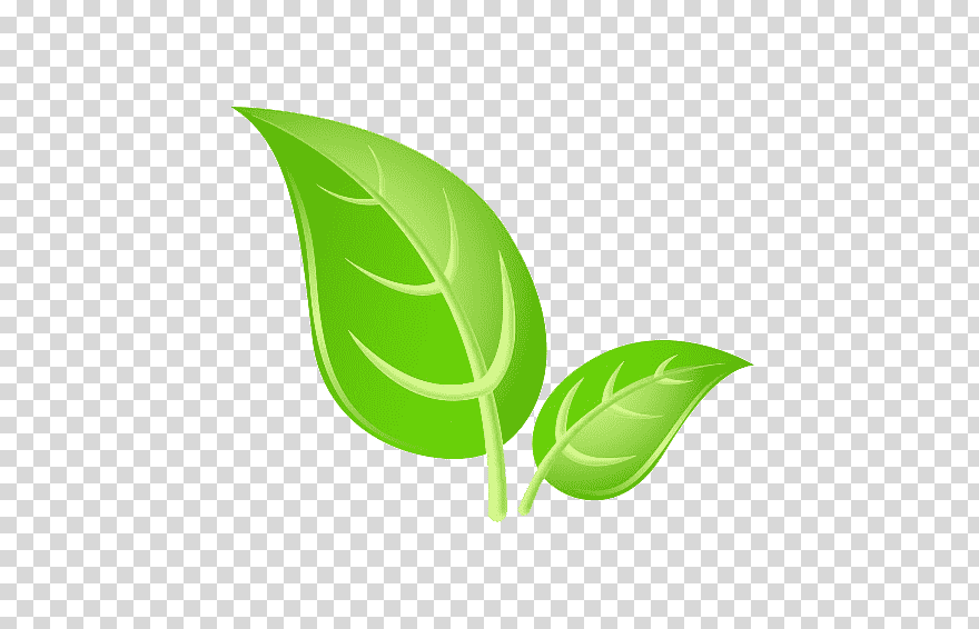 Leaf Green, Leaf, Leaf, Computer Wallpaper, Plant Stem, - Transparent Background Facebook Icon , HD Wallpaper & Backgrounds