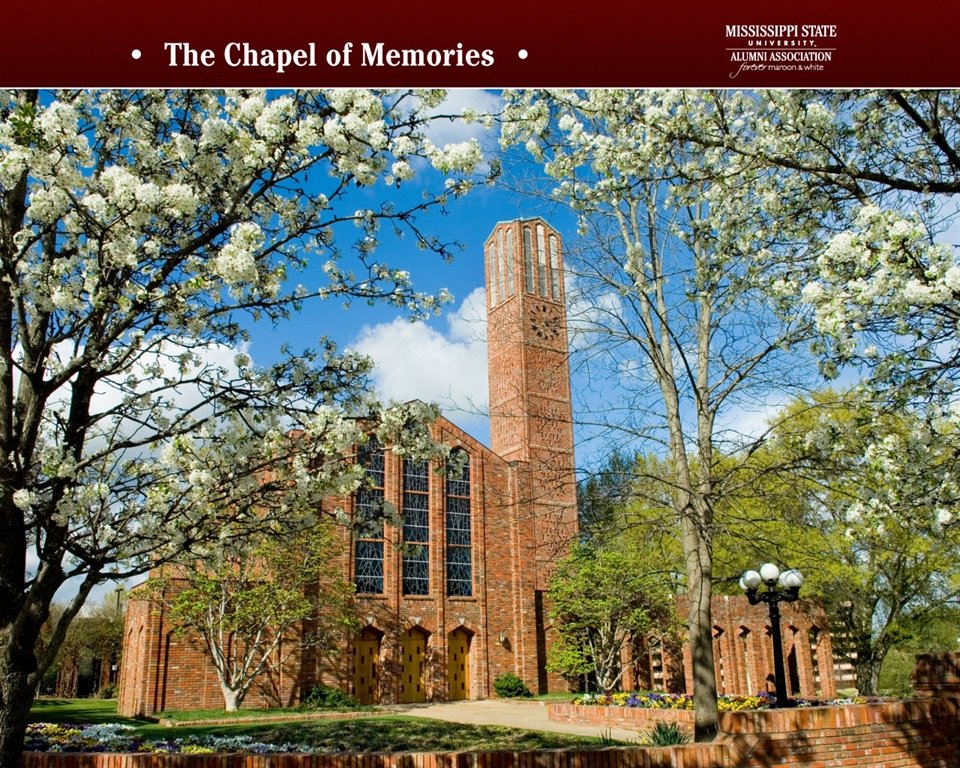 Chapter Of Memories Mississippi State , HD Wallpaper & Backgrounds