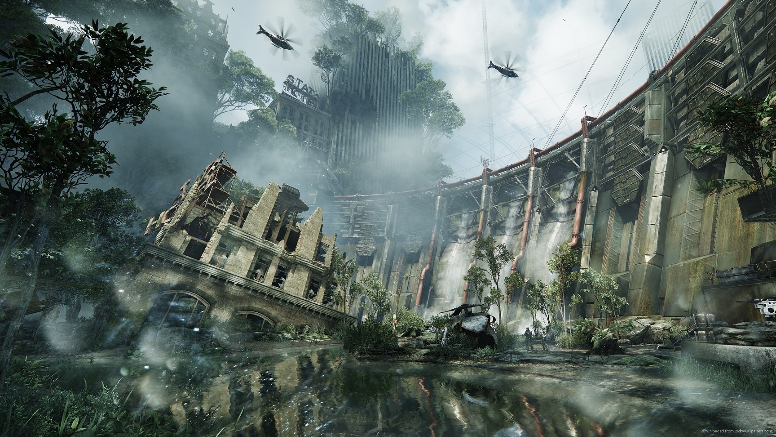 Crysis 3 Wallpaper For Android For Free Wallpaper - Crysis 3 City , HD Wallpaper & Backgrounds