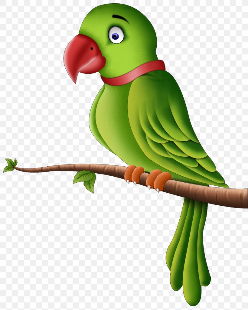 Clip Art Of Parrot , HD Wallpaper & Backgrounds