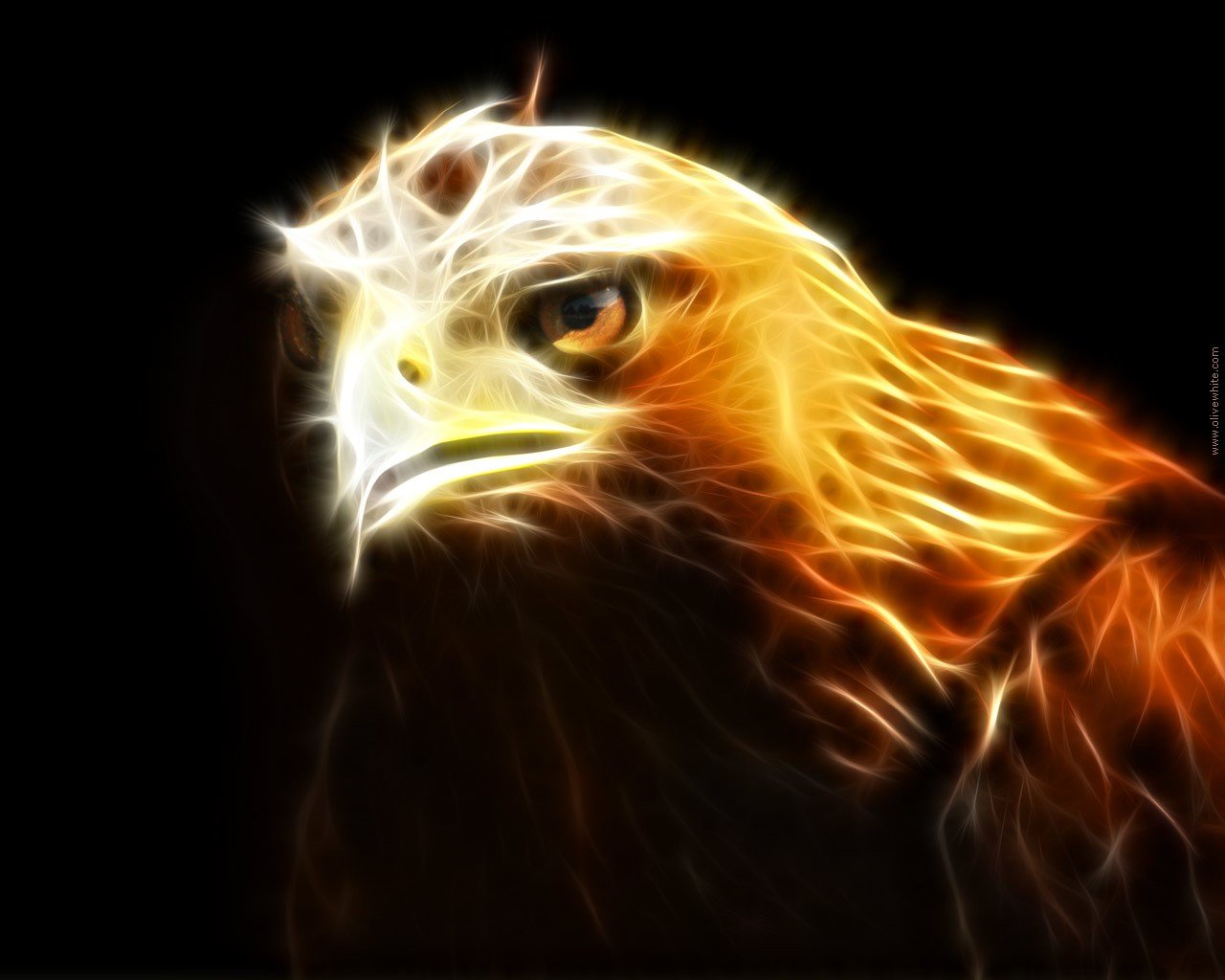 Awesome Hawk Free Wallpaper Id - Fire Hawk , HD Wallpaper & Backgrounds
