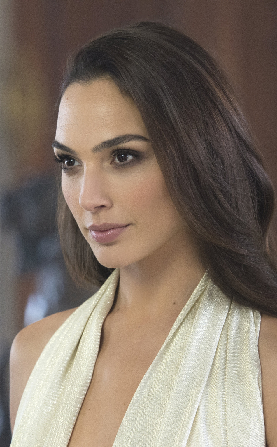 Brunette Beautiful Gal Gadot Wallpaper Gal Gadot Net Worth 2017 331039 Hd Wallpaper Backgrounds Download