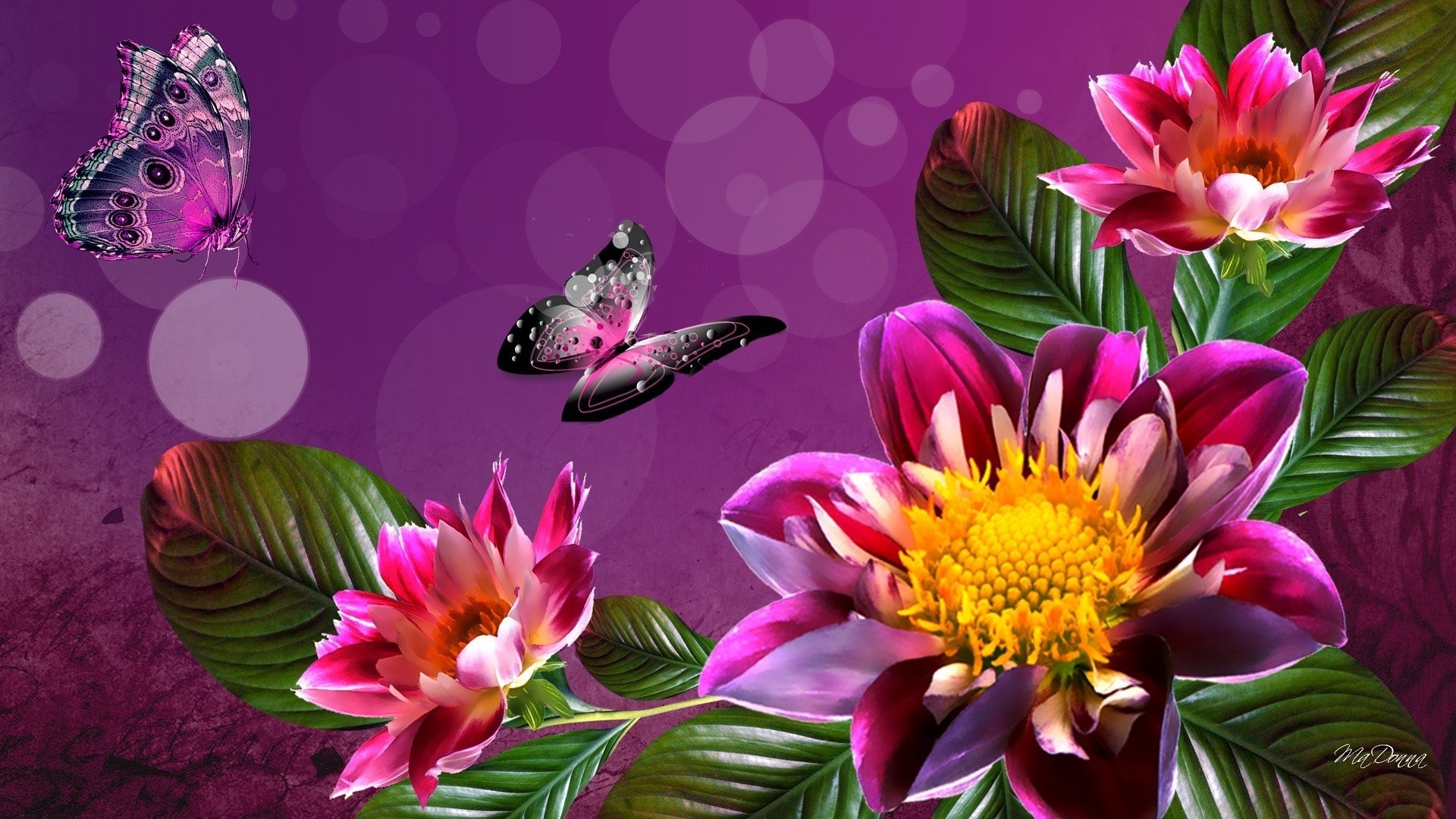 Desktop Background Full Screen Laptops Http Wallatar - Background Photos Hd Flowers , HD Wallpaper & Backgrounds