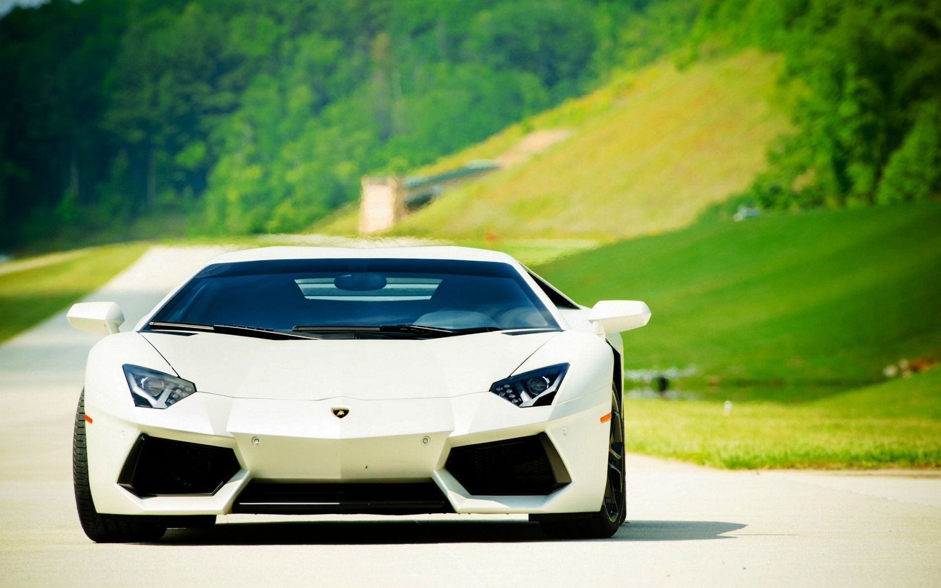 Lamborghini Cars Wallpapers Free Download Hd Latest - Lamborghini White And Green , HD Wallpaper & Backgrounds