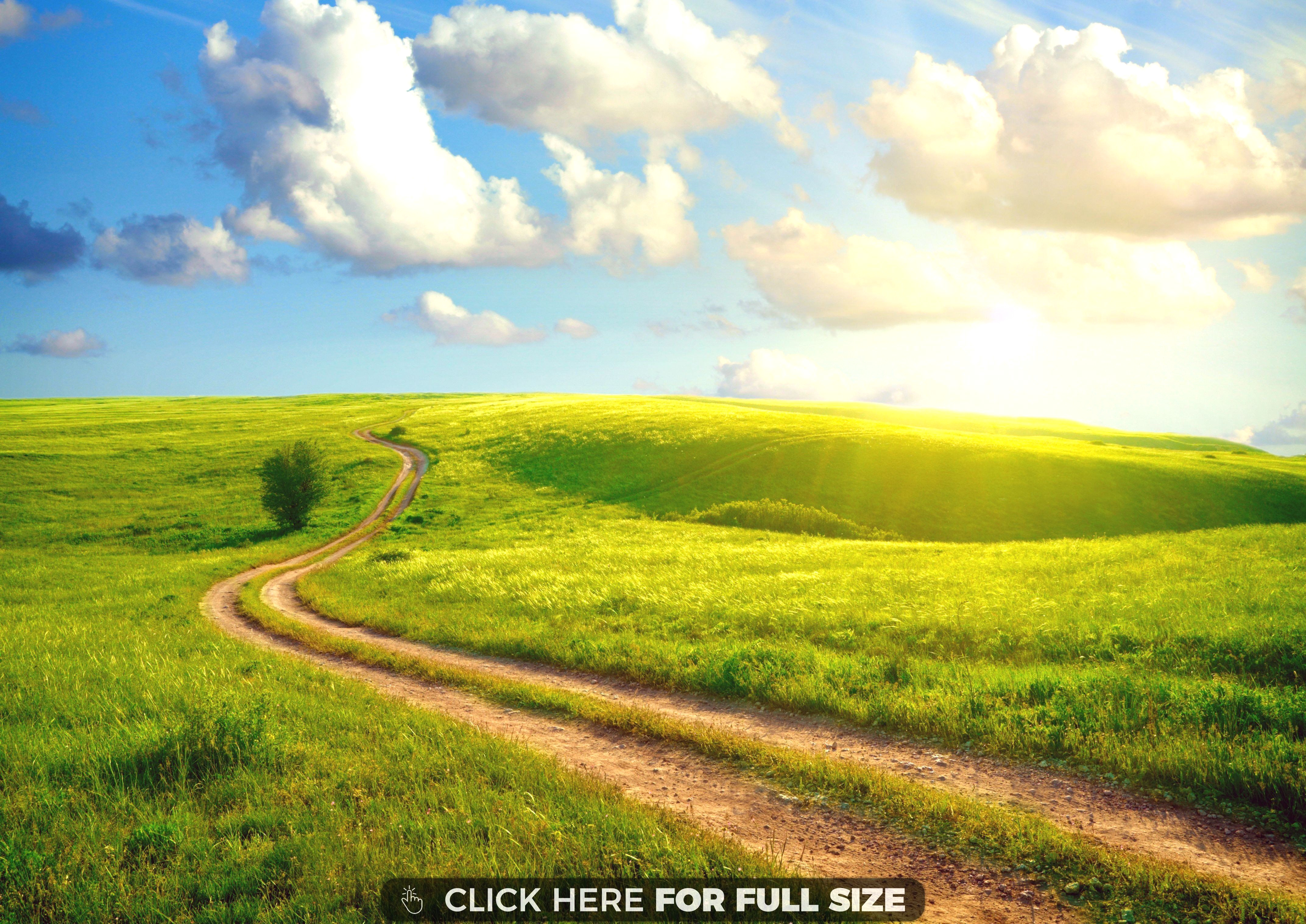 Paisagem Wallpapers Photos And Desktop Backgrounds - Tall Grass Field , HD Wallpaper & Backgrounds