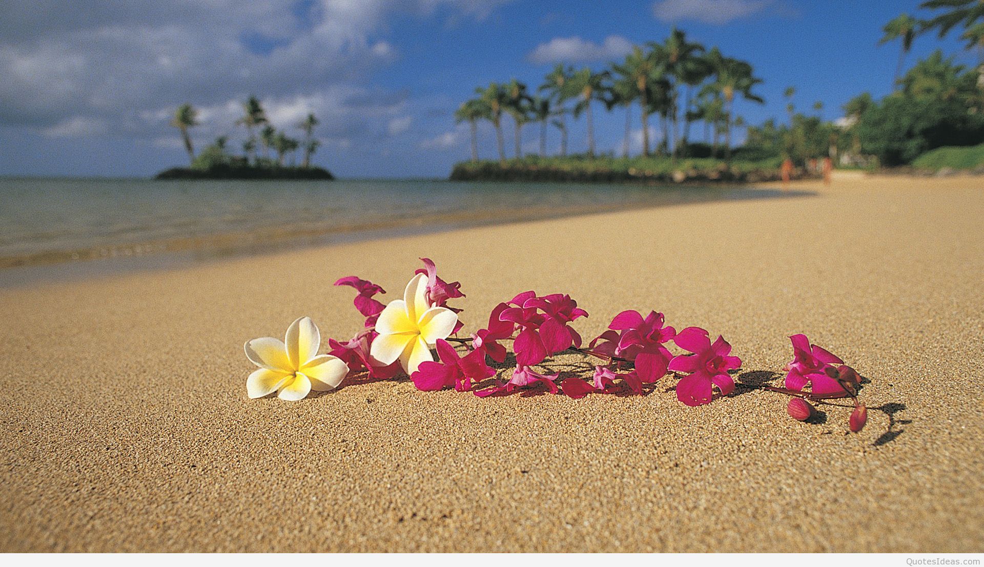 Romantic Summer Flowers On The Beach Wallpapers - Hawaii Background , HD Wallpaper & Backgrounds