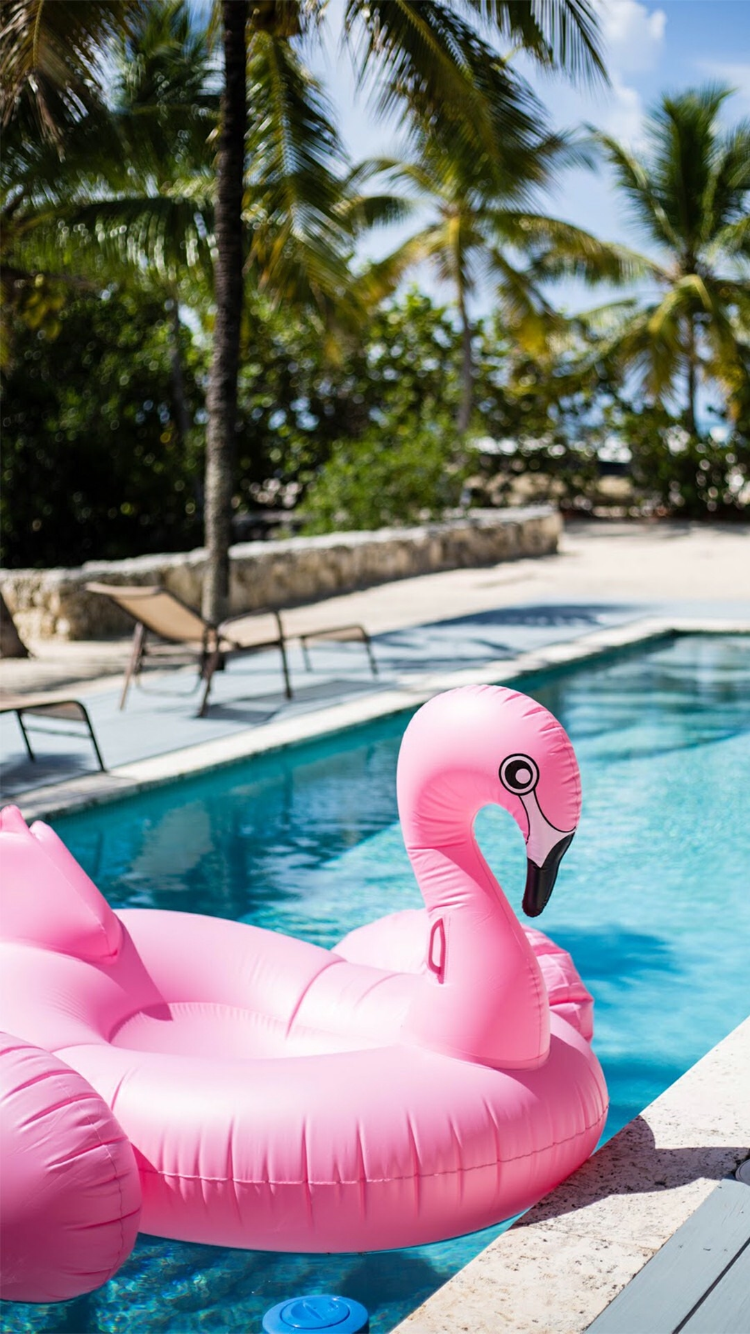 Cute Summer Wallpapers - Flamingo Float , HD Wallpaper & Backgrounds