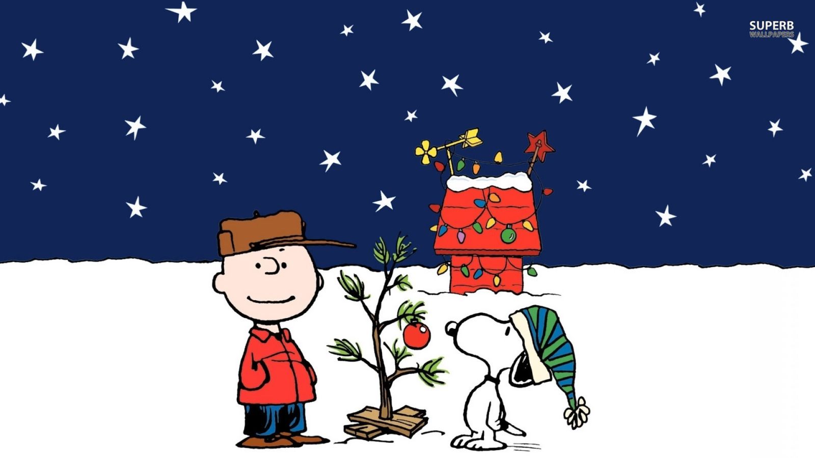 Charlie Brown Christmas , HD Wallpaper & Backgrounds