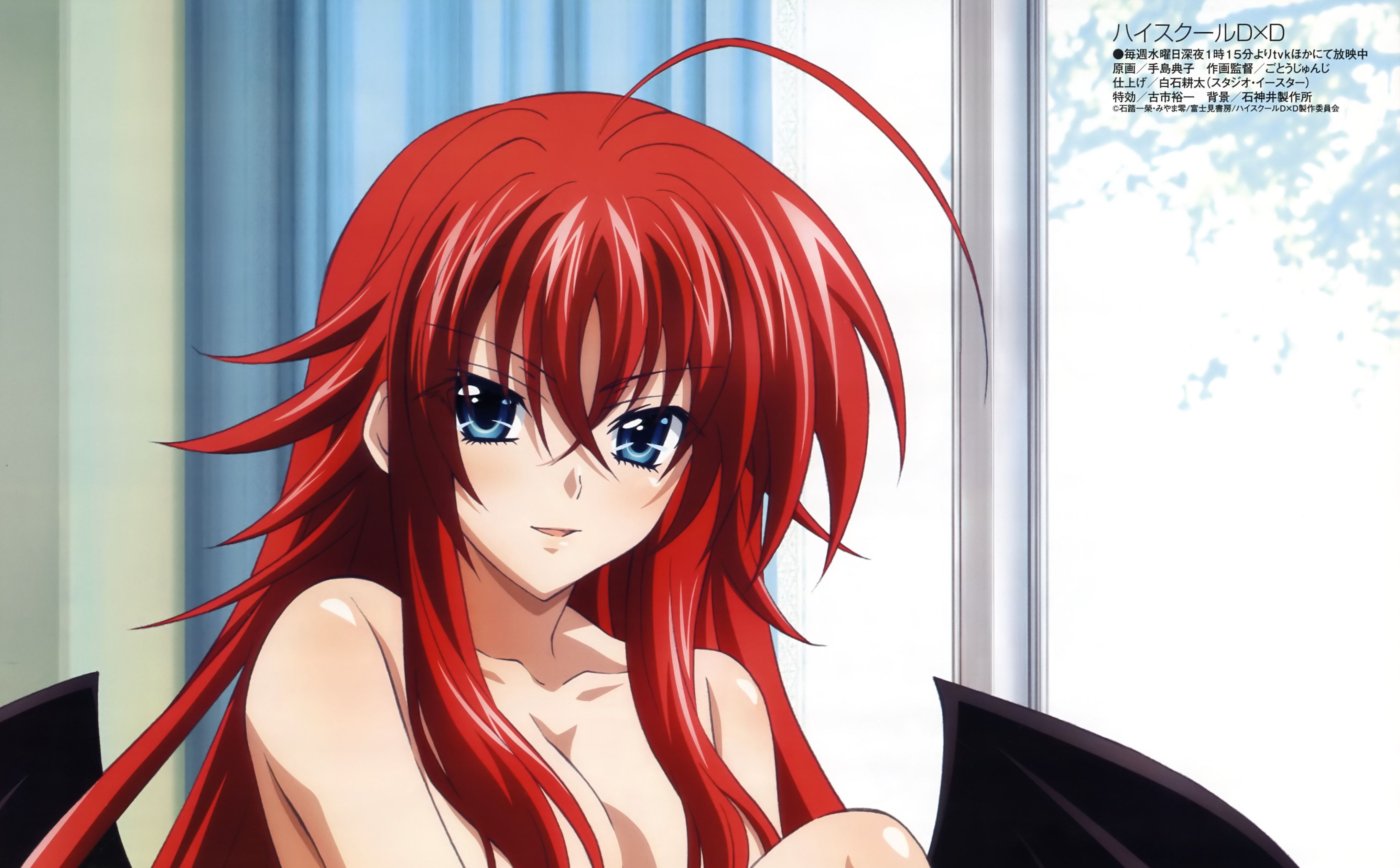 Rias Gremory - Anime Girls High School Dxd , HD Wallpaper & Backgrounds