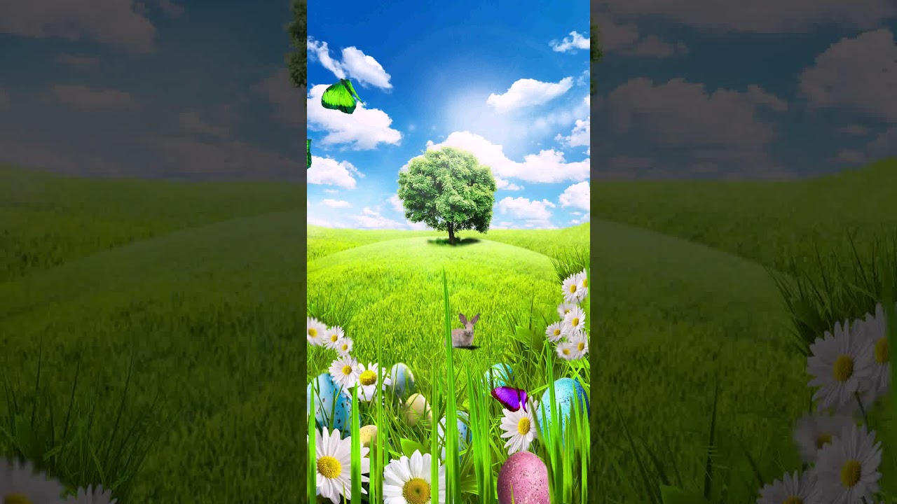 [samsung Themes-animated Wallpaper] Happy Easter Live - Paddy Field , HD Wallpaper & Backgrounds