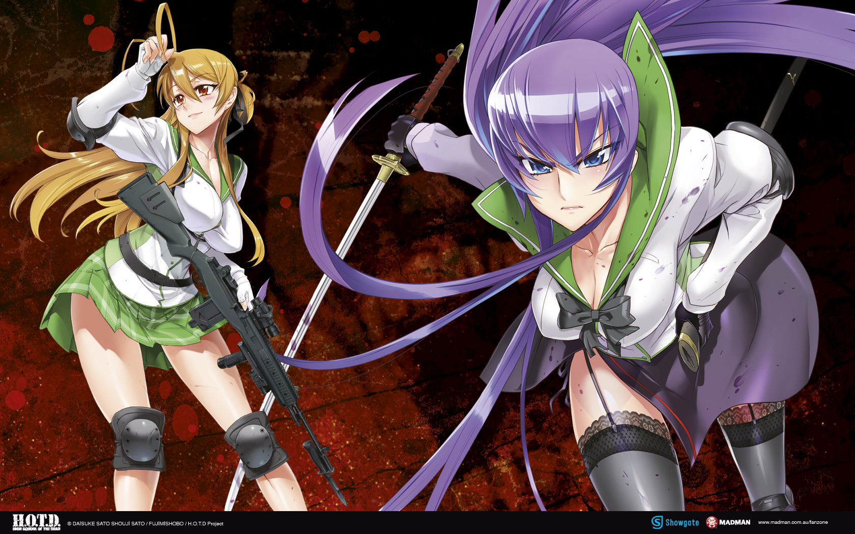 Highschool Of The Dead Wallpaper , HD Wallpaper & Backgrounds