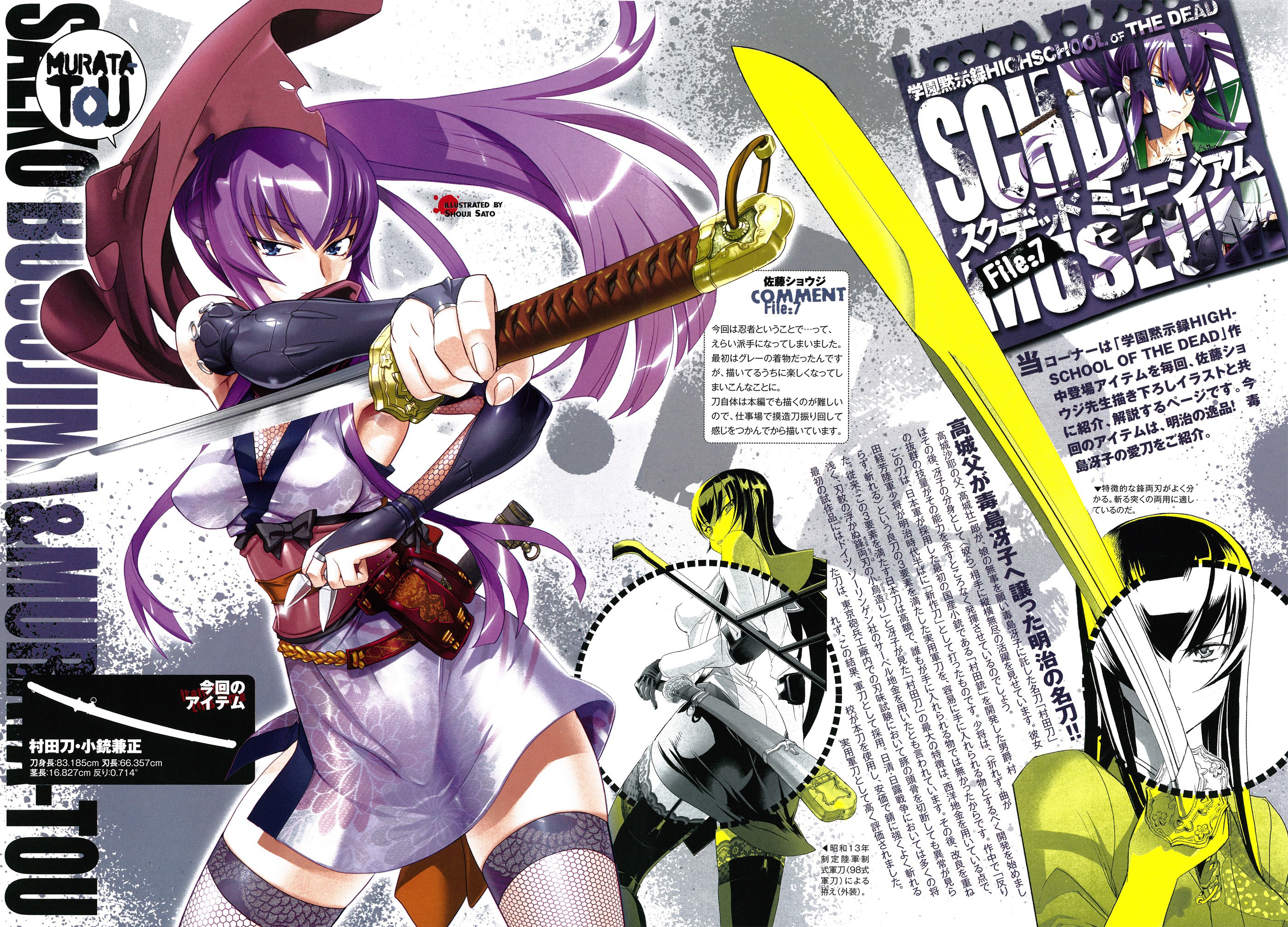 Wallpaper Highschool Of The Dead - Highschool Of The Dead , HD Wallpaper & Backgrounds