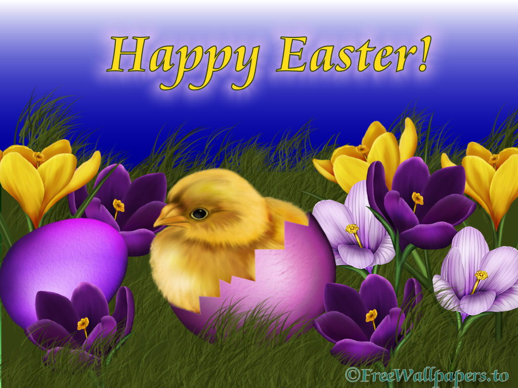 Free Live Wallpaper Easter - Happy Easter Sis , HD Wallpaper & Backgrounds