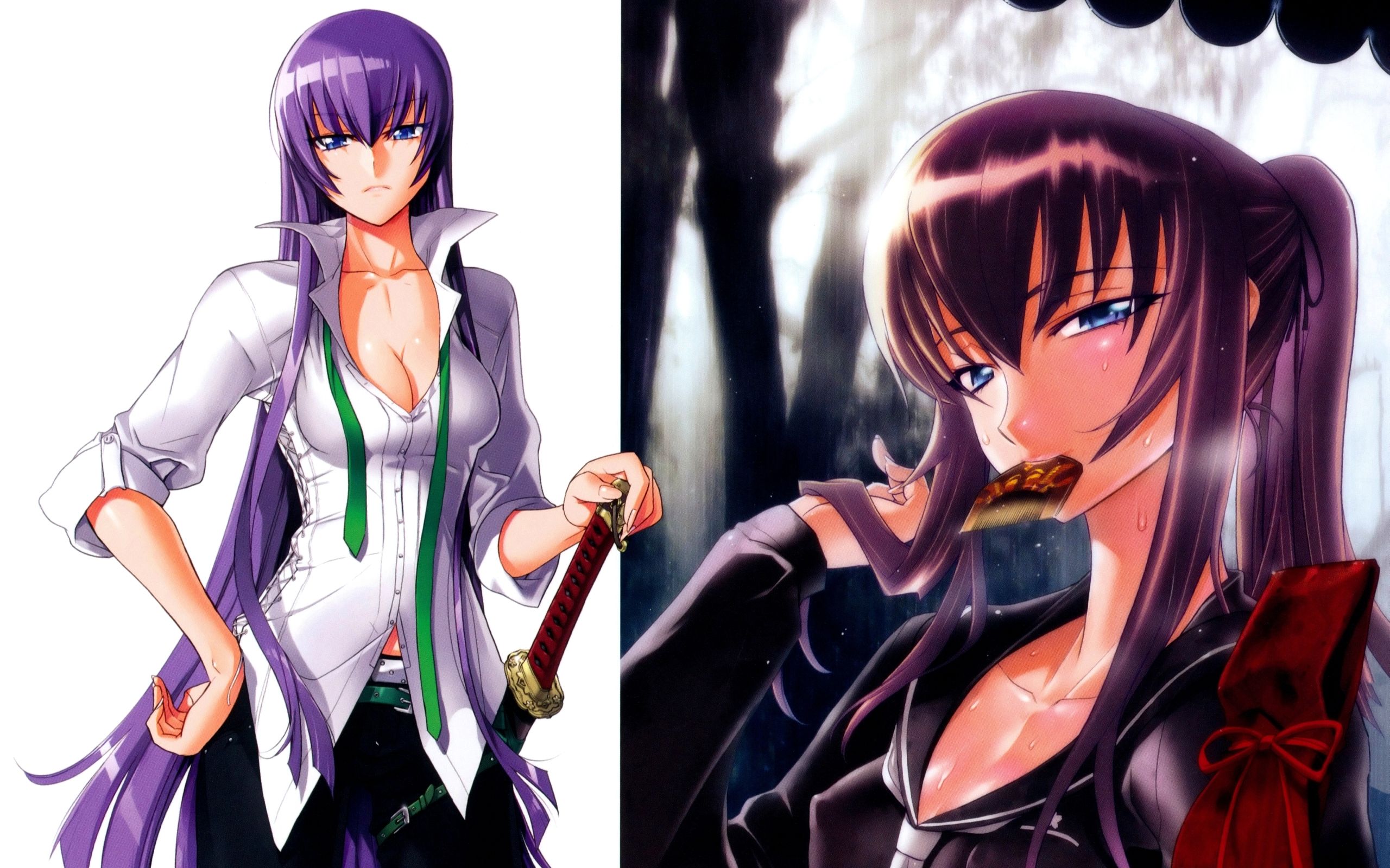 Highschool Of The Dead Busujima , HD Wallpaper & Backgrounds