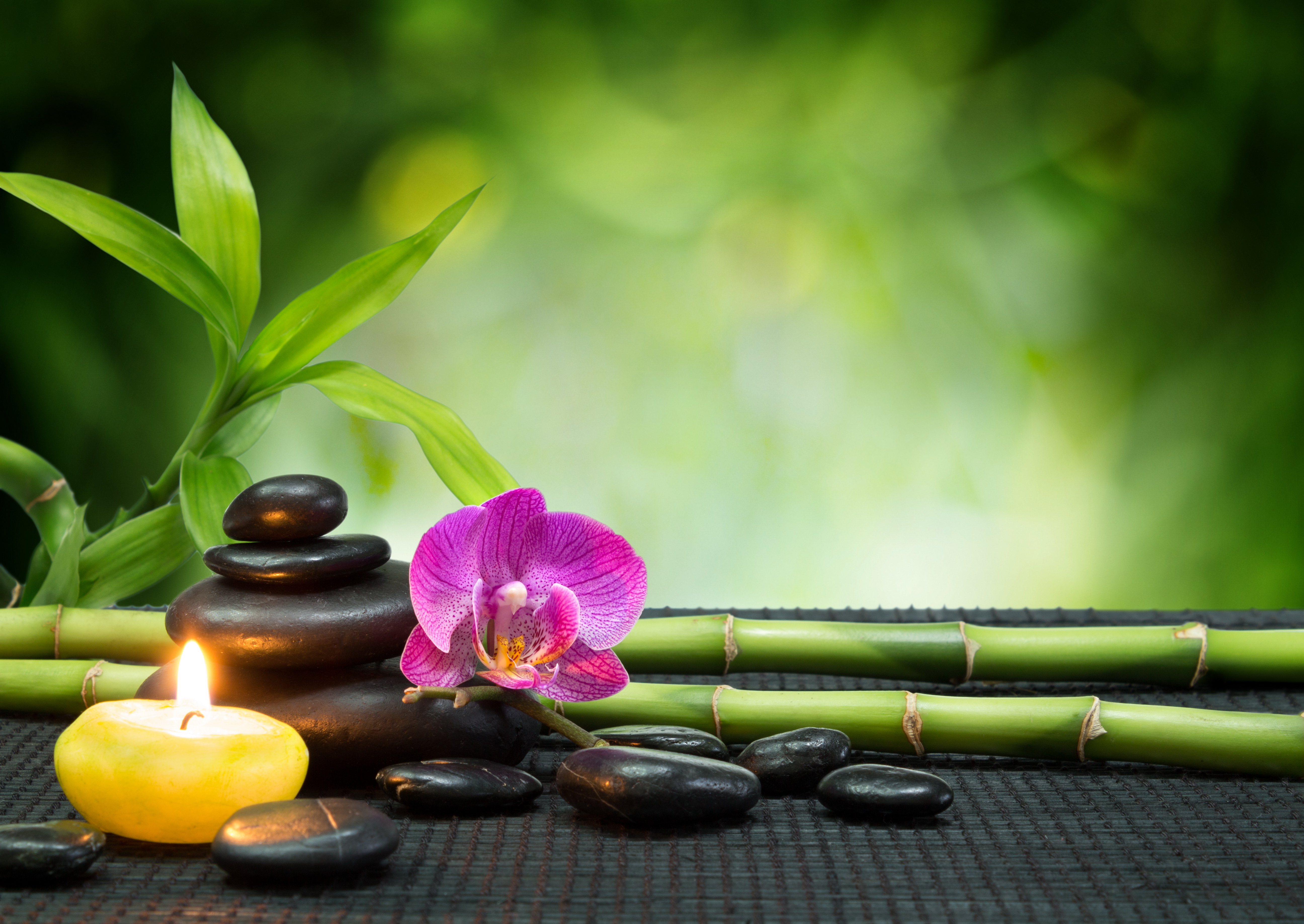 Candle Stones Orchid Bamboo Spa Zen Hd Hd Wallpaper Backgrounds Download