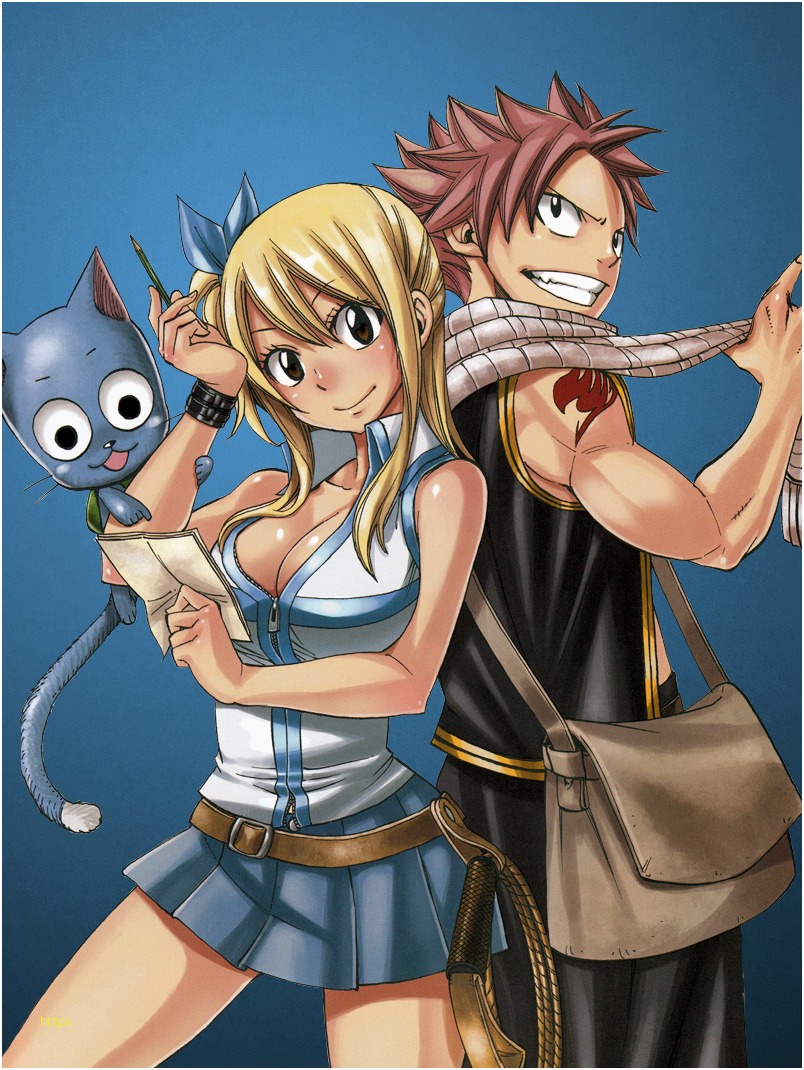 Natsu Wallpaper Unique Fairy Tail Natsu And Lucy Hd - Natsu And Lucy , HD Wallpaper & Backgrounds