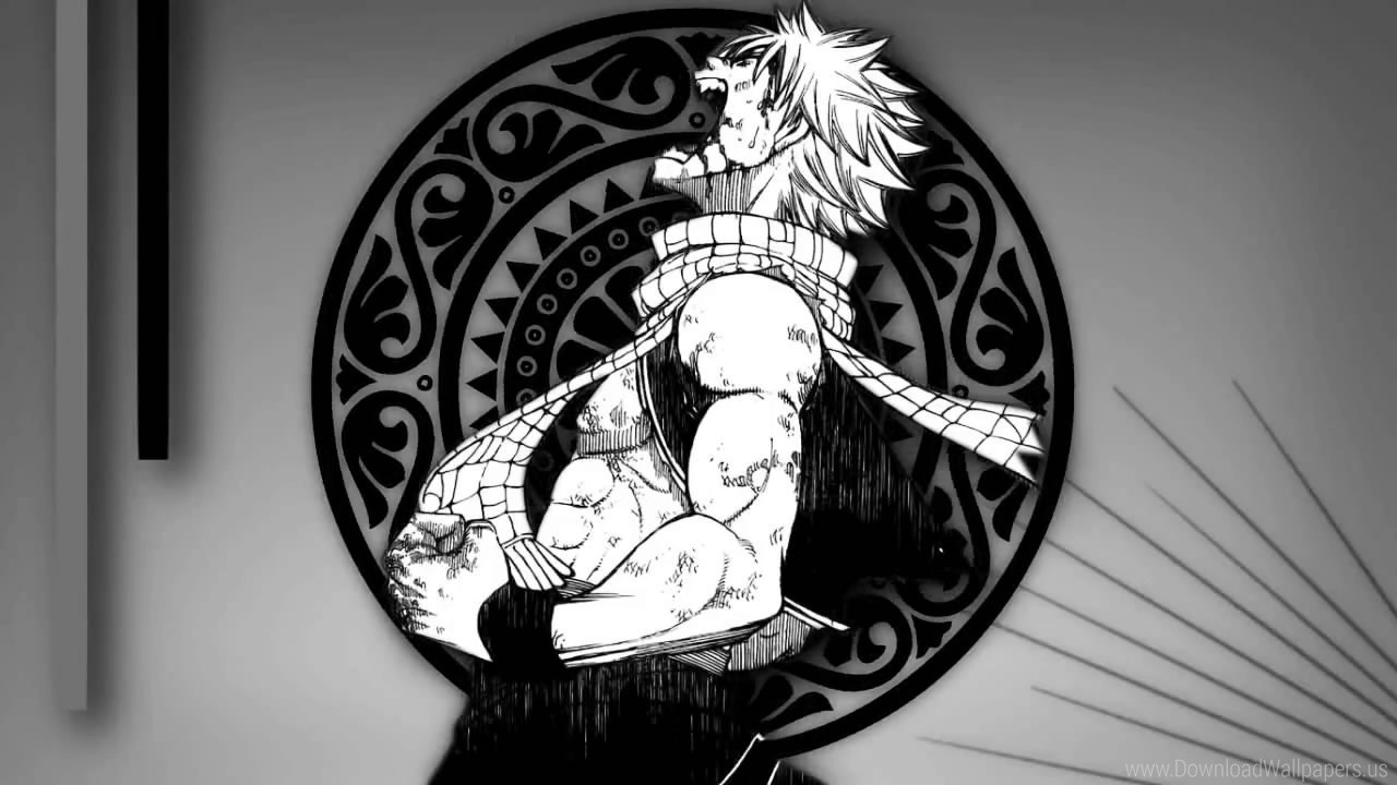 Fairy Tail Black And White , HD Wallpaper & Backgrounds