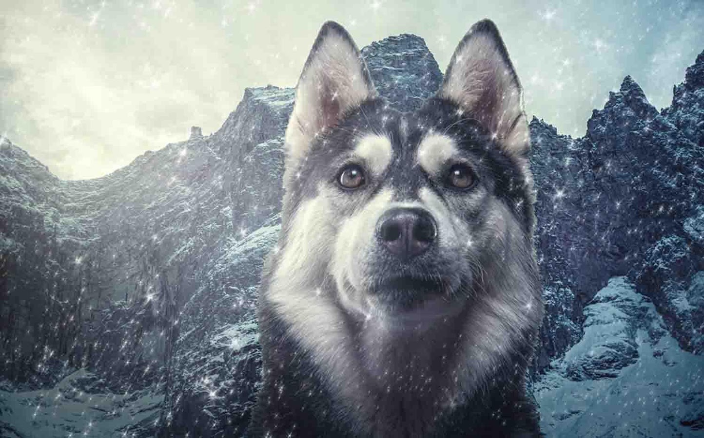 Siberian Troll Wall 341346 Hd Wallpaper Backgrounds Download