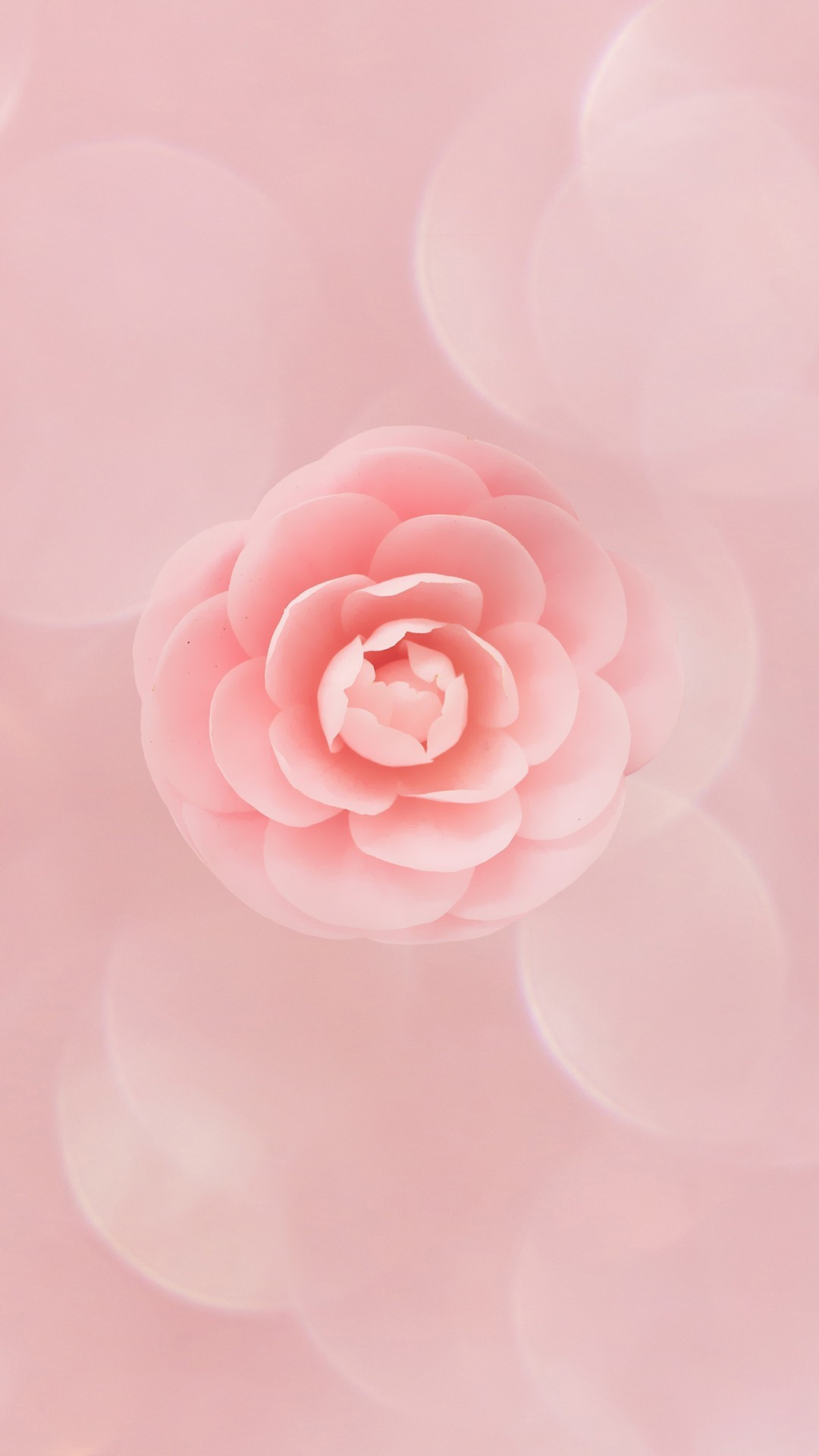 Iphone Wallpaper Flowers Peach , HD Wallpaper & Backgrounds