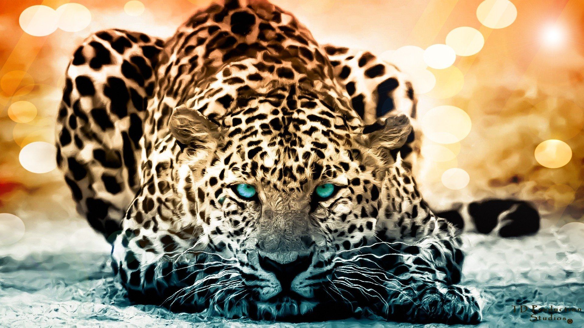 190 Jaguar Hd Wallpapers - Hd 1080p Animals Wallpaper Hd , HD Wallpaper & Backgrounds