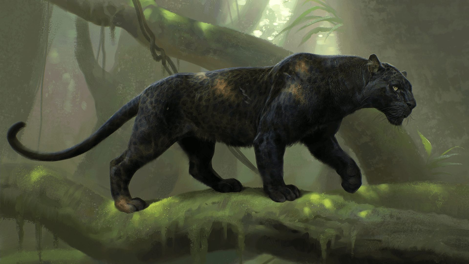 Bagheera Jungle Book (342423) HD Wallpaper & Backgrounds Download