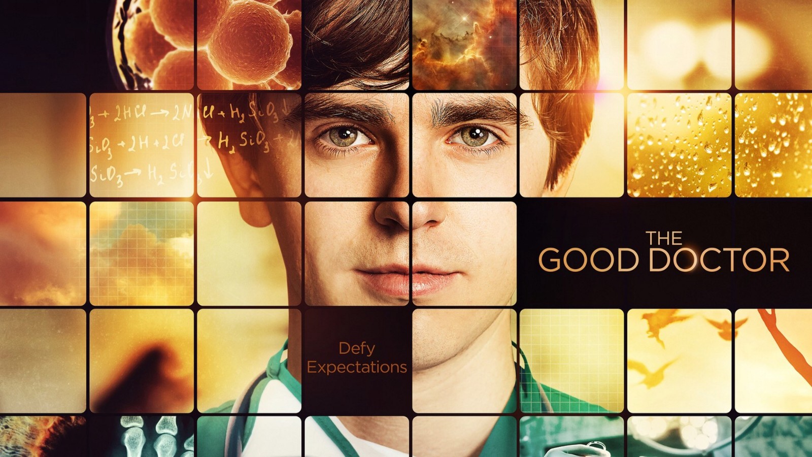 The Good Doctor Wallpapers - Freddie Highmore Golden Globes , HD Wallpaper & Backgrounds