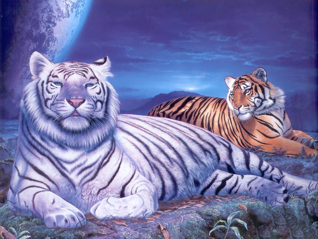 Tiger Wallpaper 3d High Definition - Tiger Wallpaper 3d Hd Download , HD Wallpaper & Backgrounds