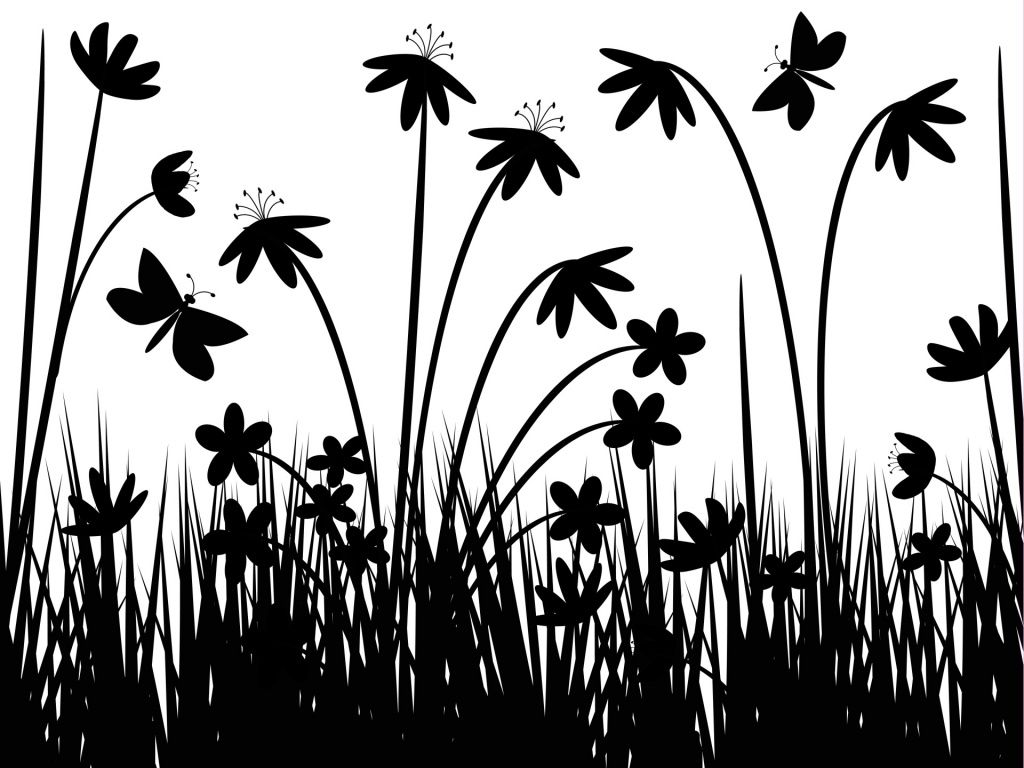 I Am Looking For Black And White Wallpaper To Decorate - Black And White Nature Painting , HD Wallpaper & Backgrounds