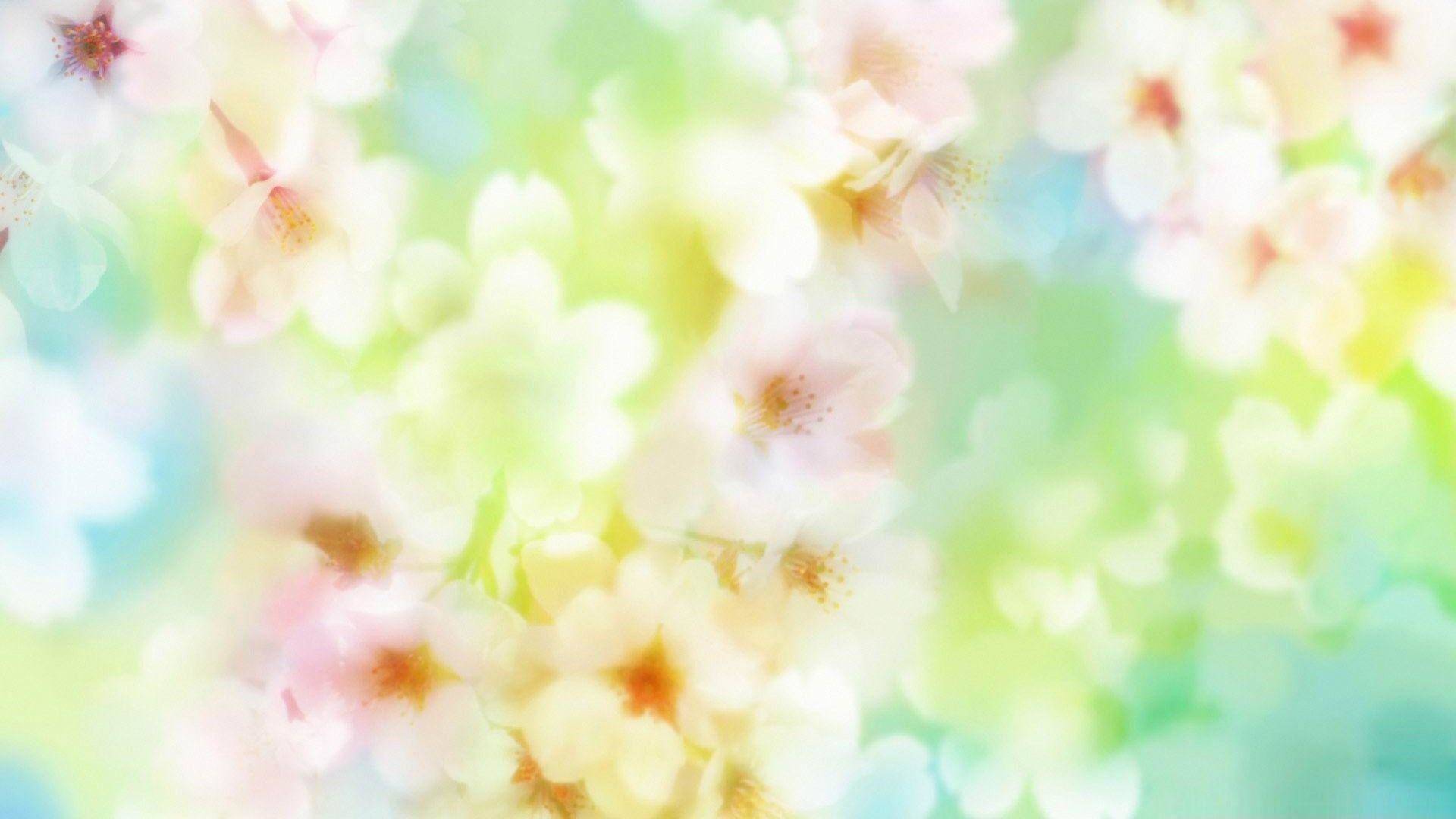 Beautiful Blossom Flowers-spring Theme Desktop Wallpaper - Meaning Of Yugesh , HD Wallpaper & Backgrounds