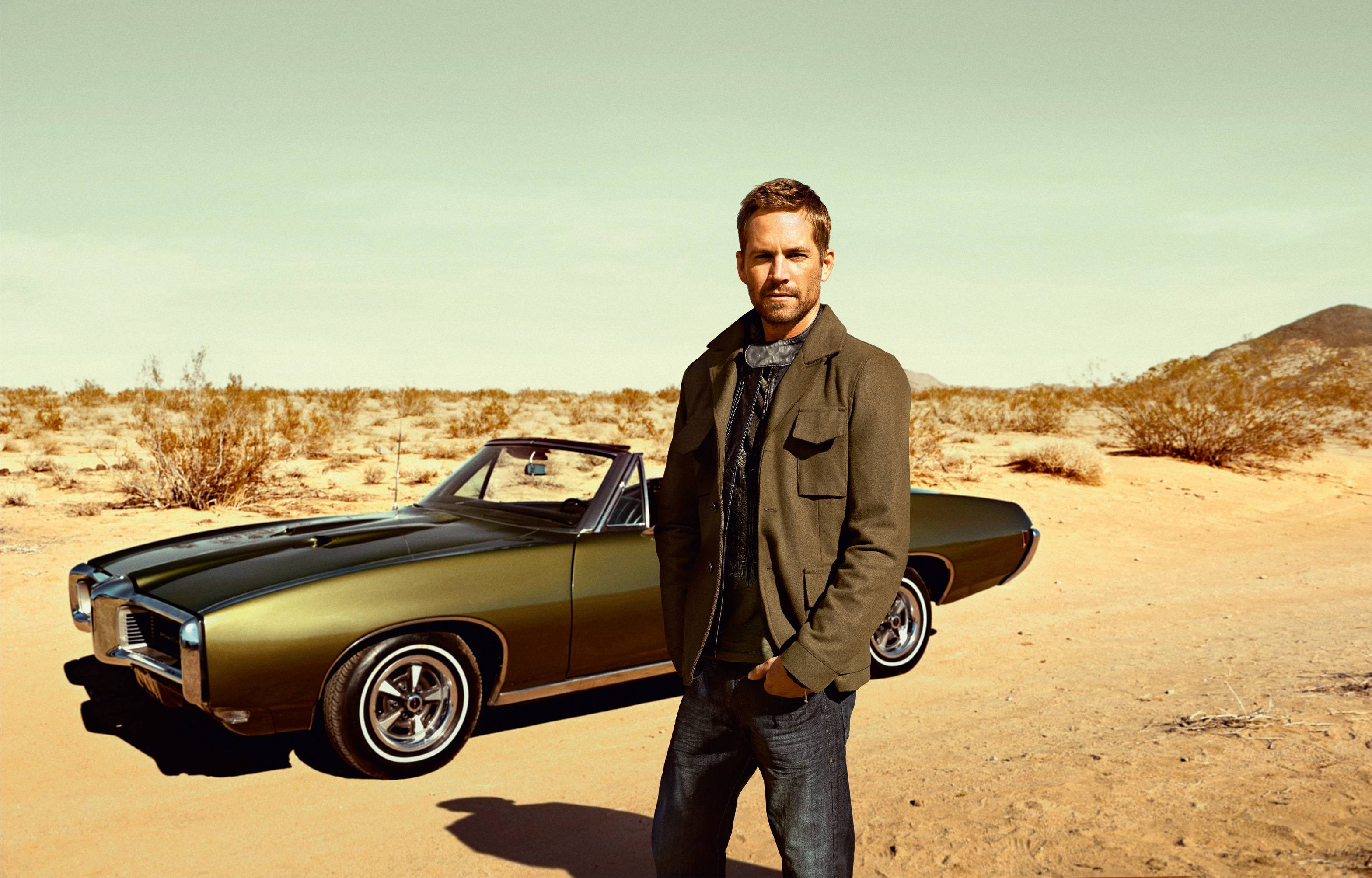 Wallpaper Paul Walker, Paul Walker, Man, Actor, View, - Paul Walker , HD Wallpaper & Backgrounds