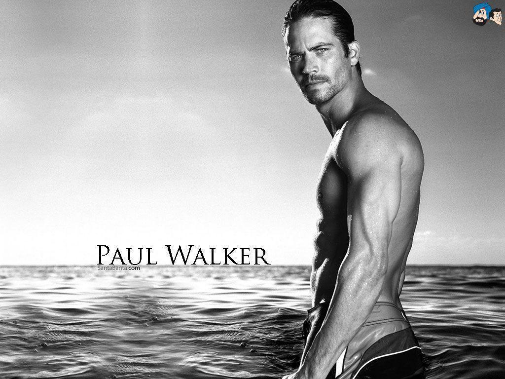 Paul Walker Wallpapers - Paul Walker Hot , HD Wallpaper & Backgrounds