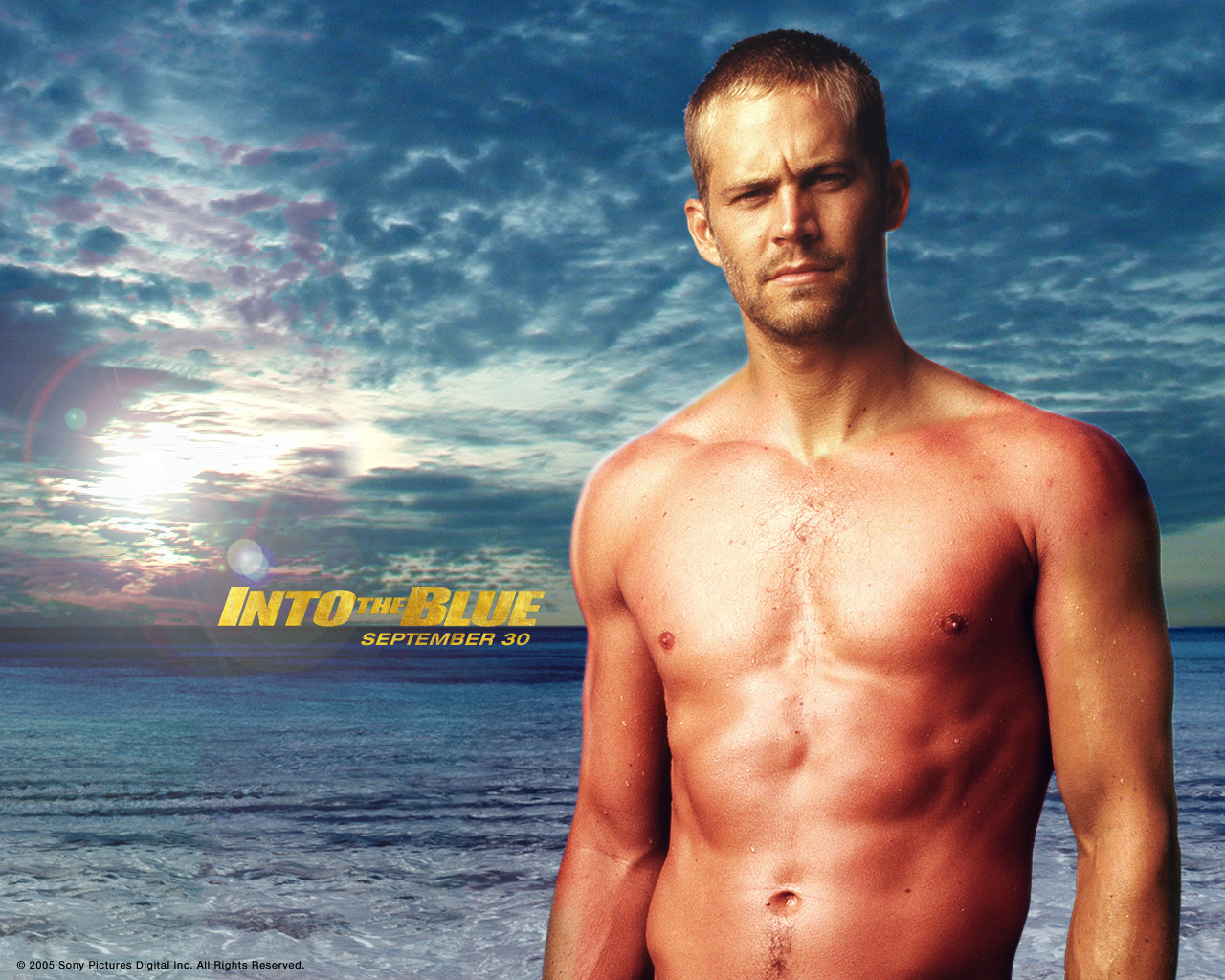 Paul Walker Wallpaper Rip - Paul Walker Into The Blue , HD Wallpaper & Backgrounds