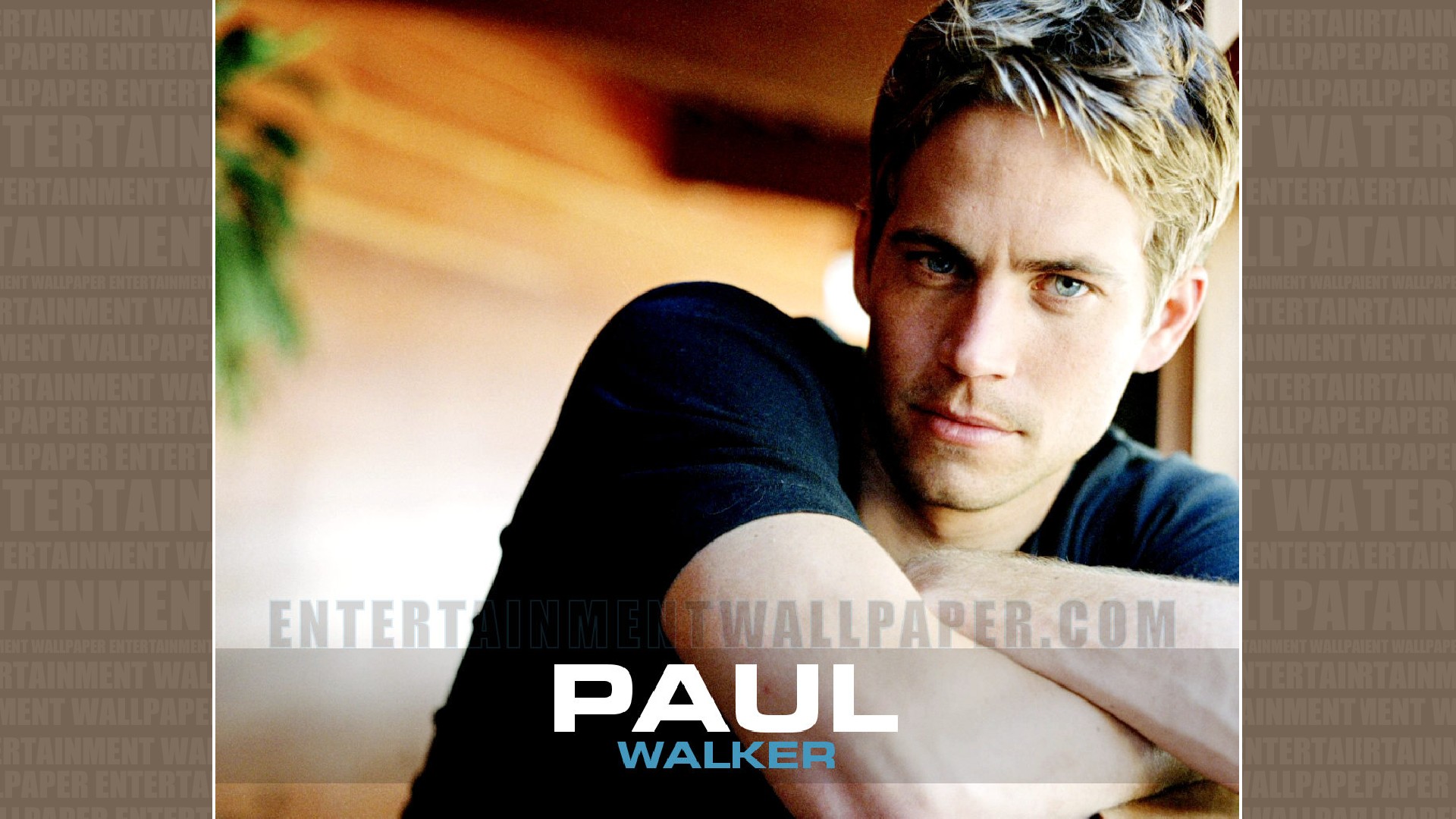 Paul Walker Wallpaper - Paul Walker , HD Wallpaper & Backgrounds
