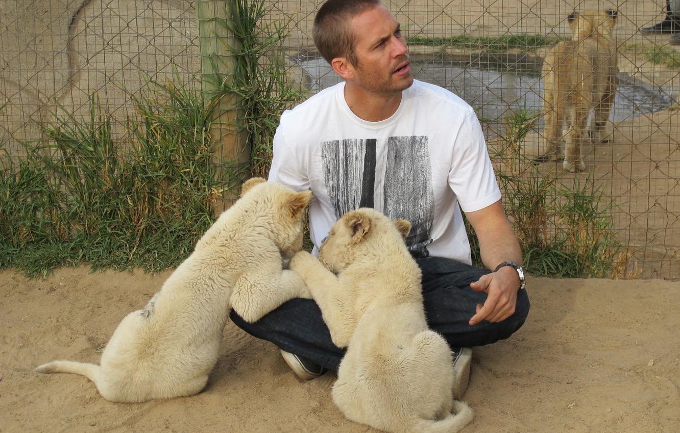 Photo Wallpaper Smile, Actor, Paul Walker, Paul Walker - Paul Walker And Animals , HD Wallpaper & Backgrounds