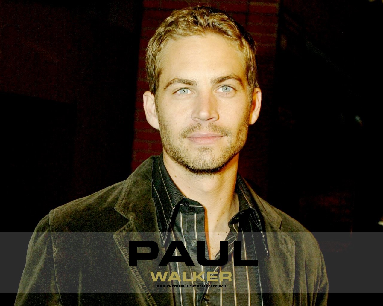 Paul Walker Images Paul Walker Hd Wallpaper And Background - Paul Walker , HD Wallpaper & Backgrounds