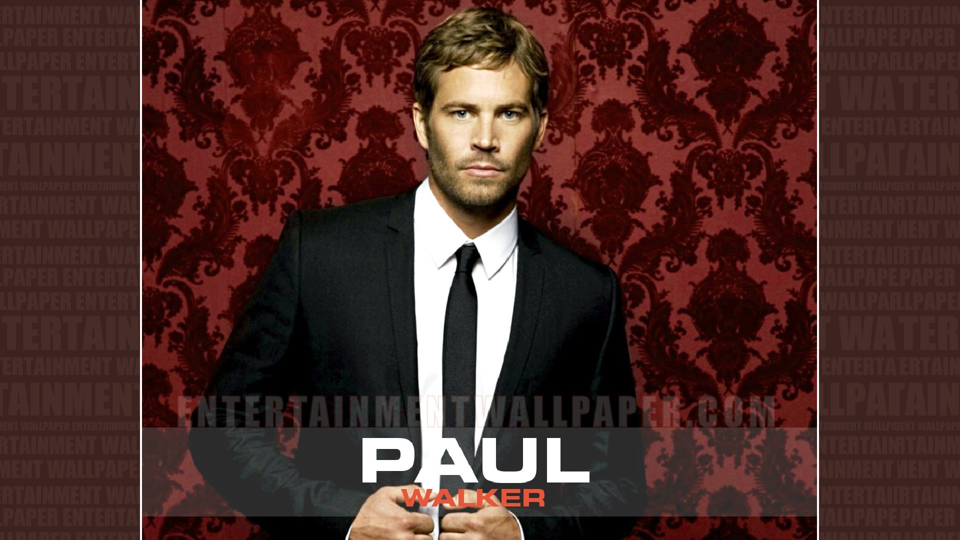 Paul Walker Wallpaper - Paul Walker Sexy , HD Wallpaper & Backgrounds