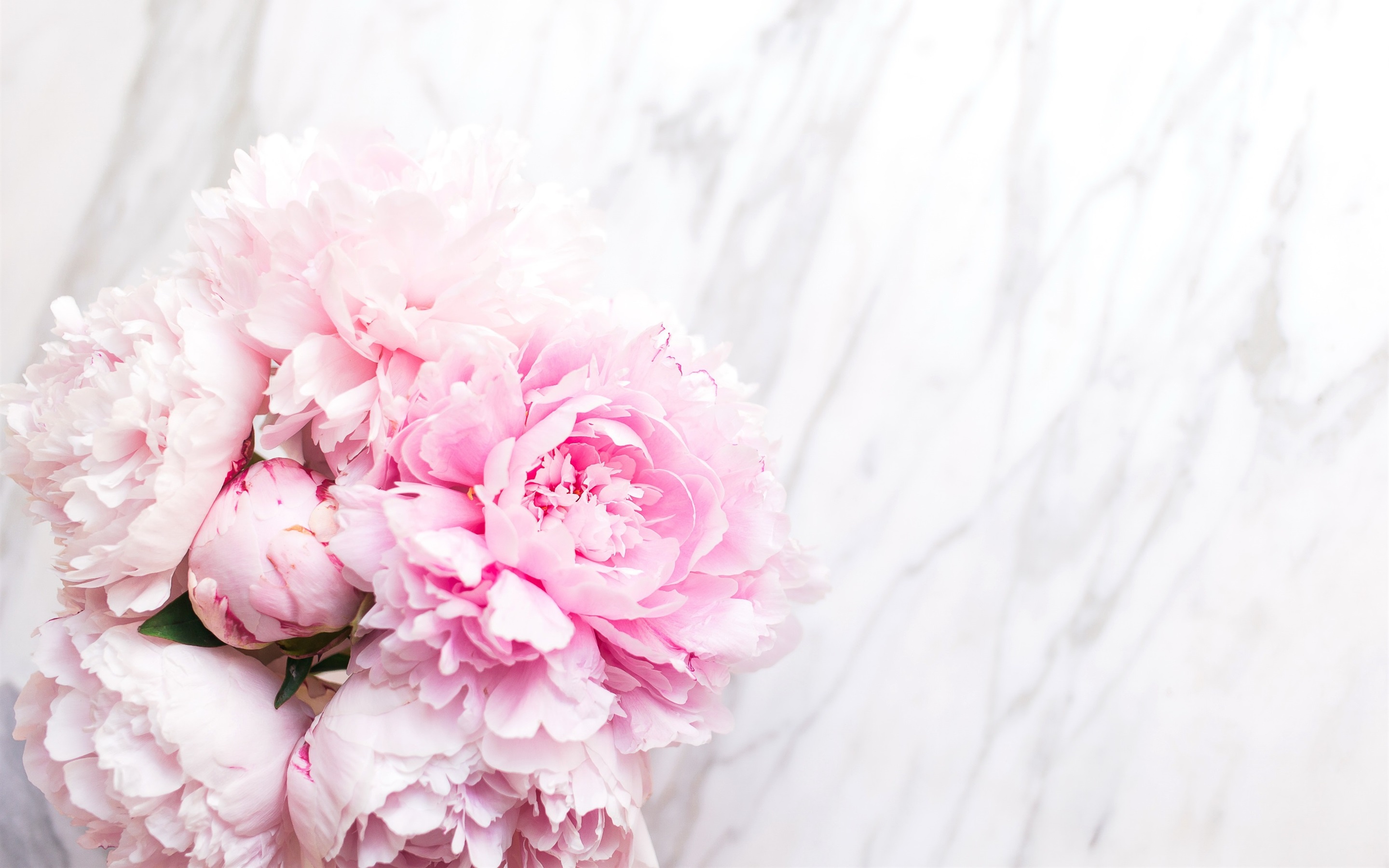 Wallpaper Flowers, Flowers, Bouquet, Peonies, Tender, - Заставки На Рабочий Стол Мрамор , HD Wallpaper & Backgrounds