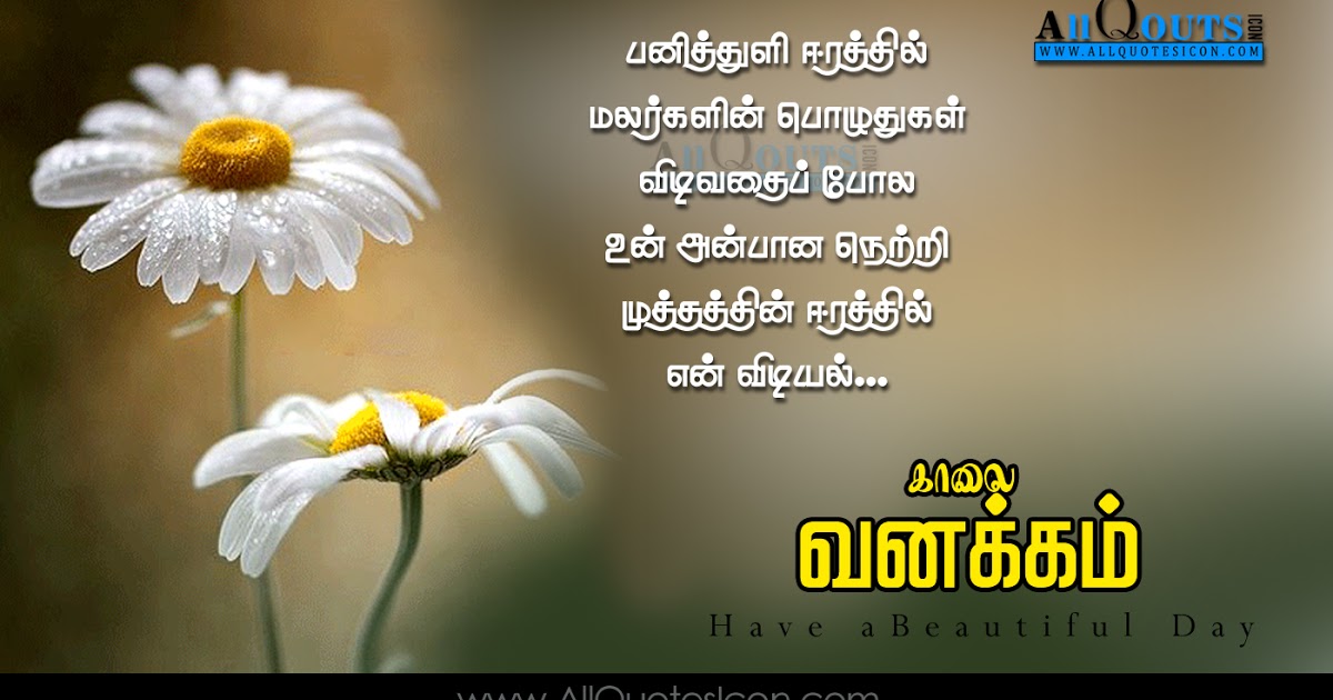 Love Failure Quotes In Telugu Wallpapers Latest Love - Philippians 4 4 Gif , HD Wallpaper & Backgrounds