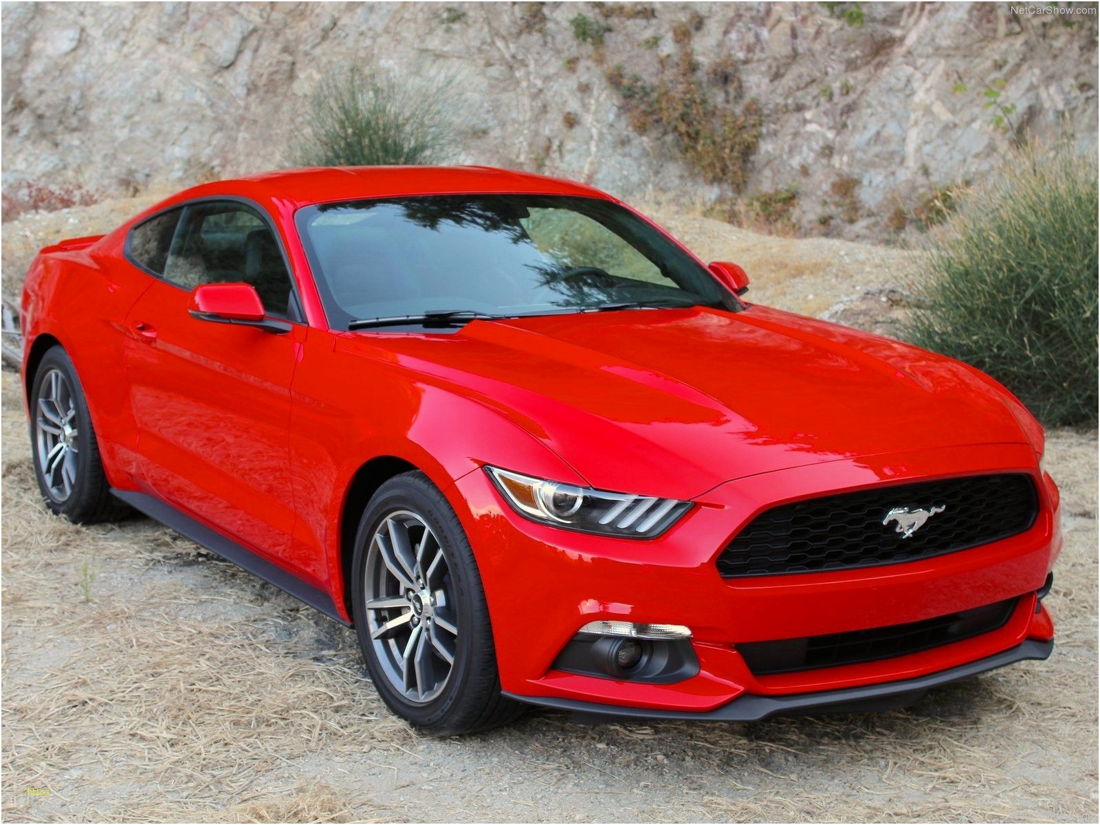 Mustang Iphone Wallpaper Fresh Ford Mustang 2015 News - Mustang Ecoboost 2014 , HD Wallpaper & Backgrounds