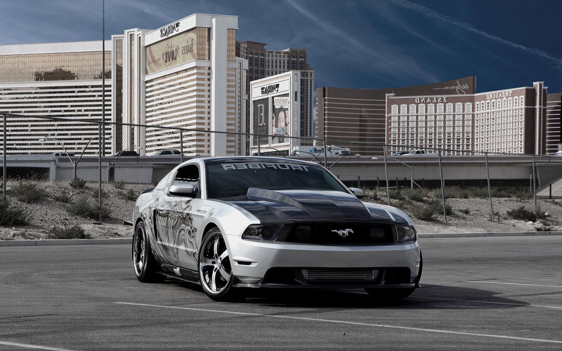 Mustang Cars Ford Mustang Cars Photo Cars Wallpaper - Shelby Mustang , HD Wallpaper & Backgrounds