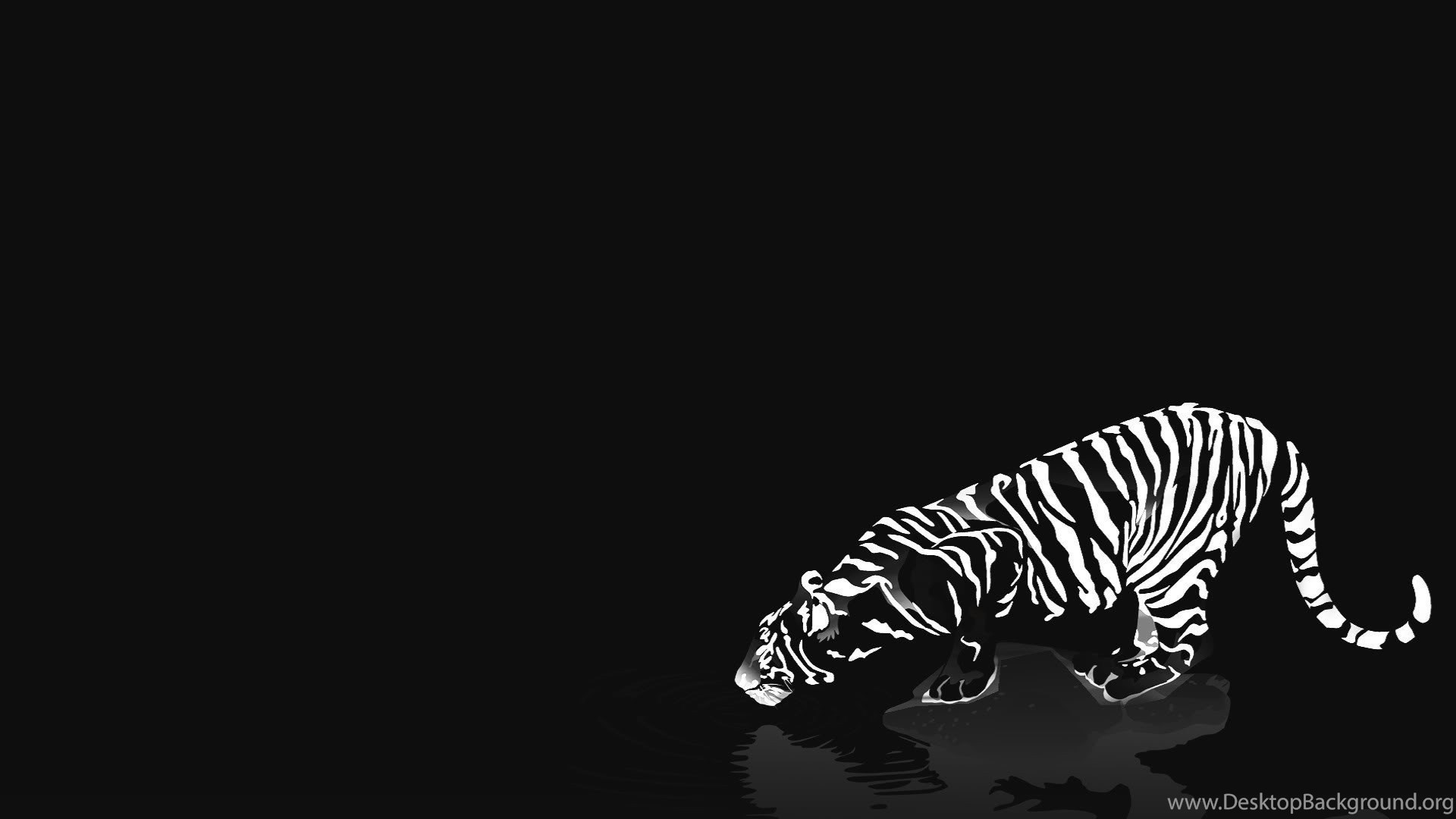 Black Background Black And White Animals , HD Wallpaper & Backgrounds