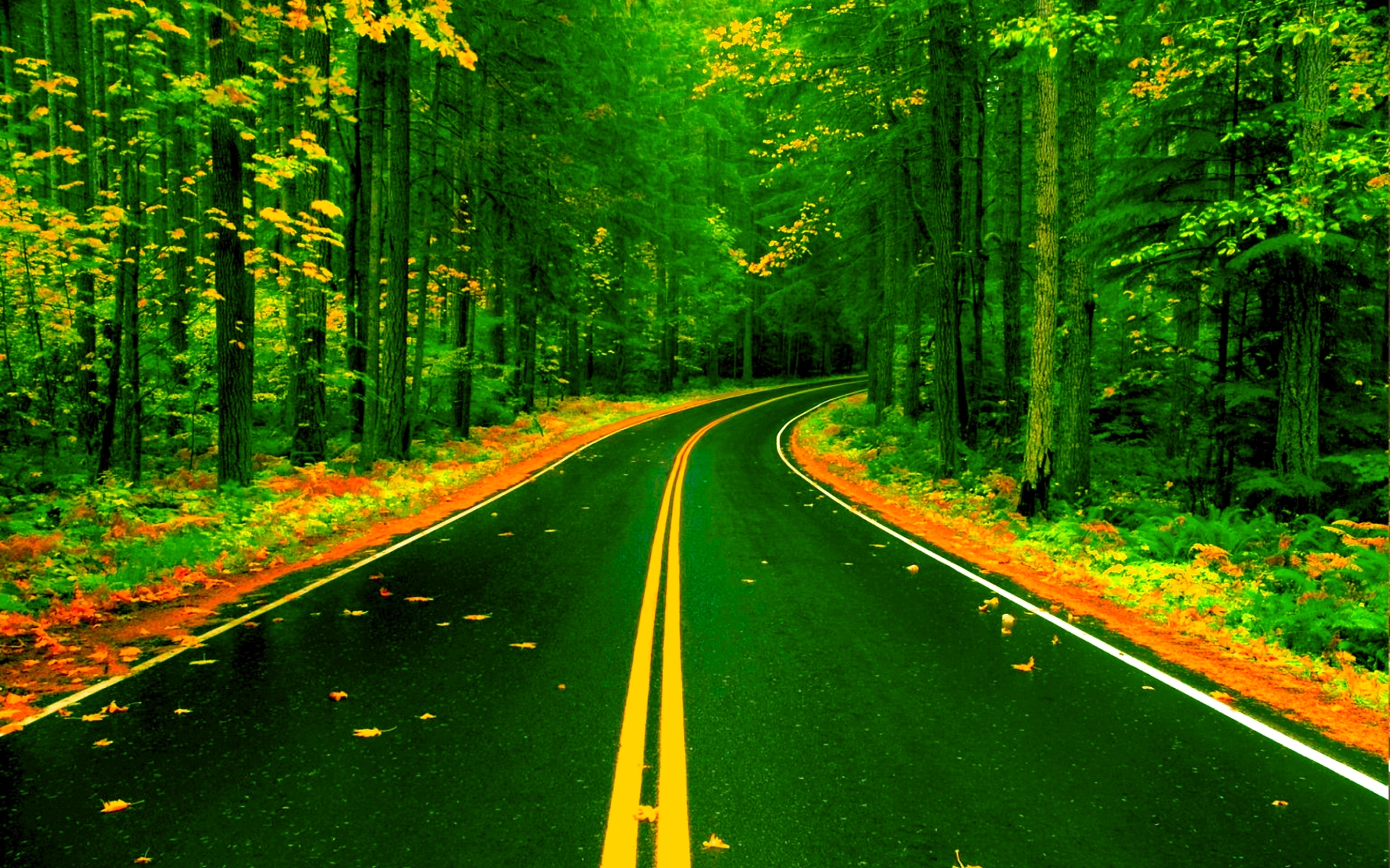 Forest Road Wallpaper - Background Images Road Nature (#348283) - HD