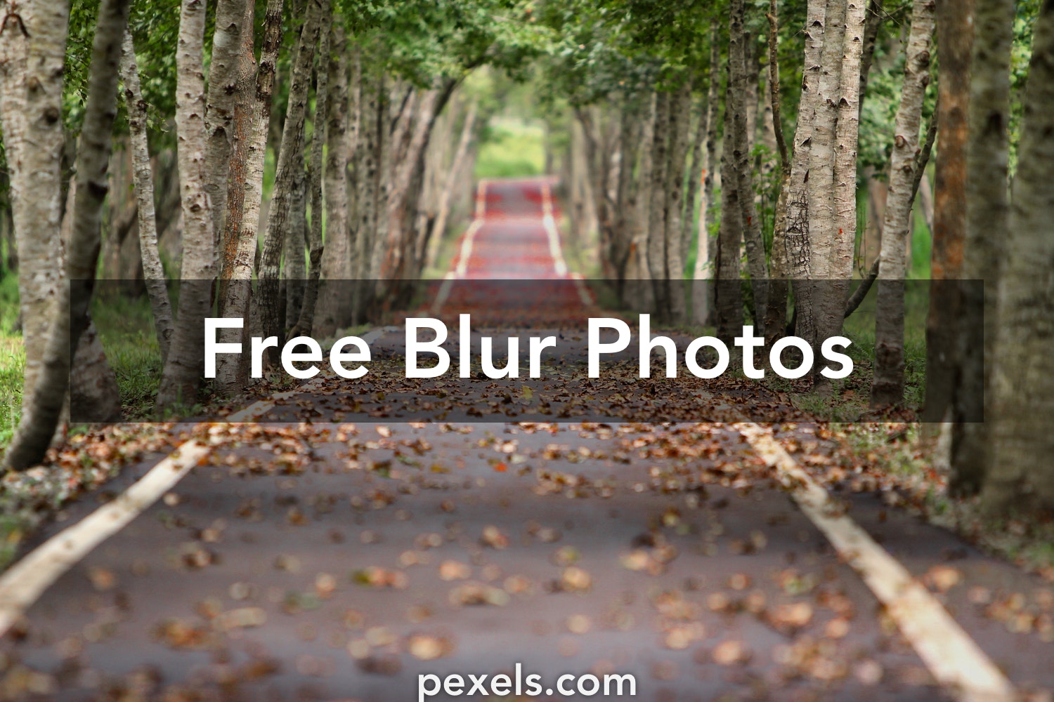Dslr - Blur Dslr Backgrounds , HD Wallpaper & Backgrounds