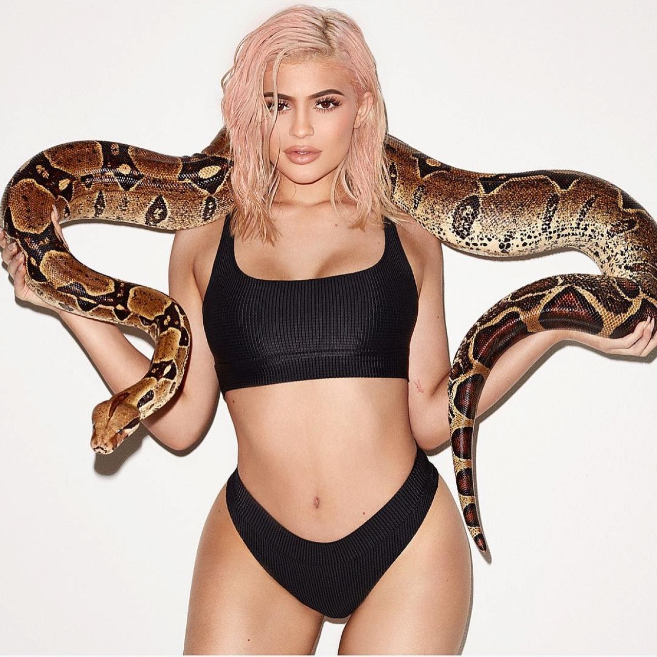 Kylie Jenner Wallpaper - Kylie Jenner With Snake , HD Wallpaper & Backgrounds