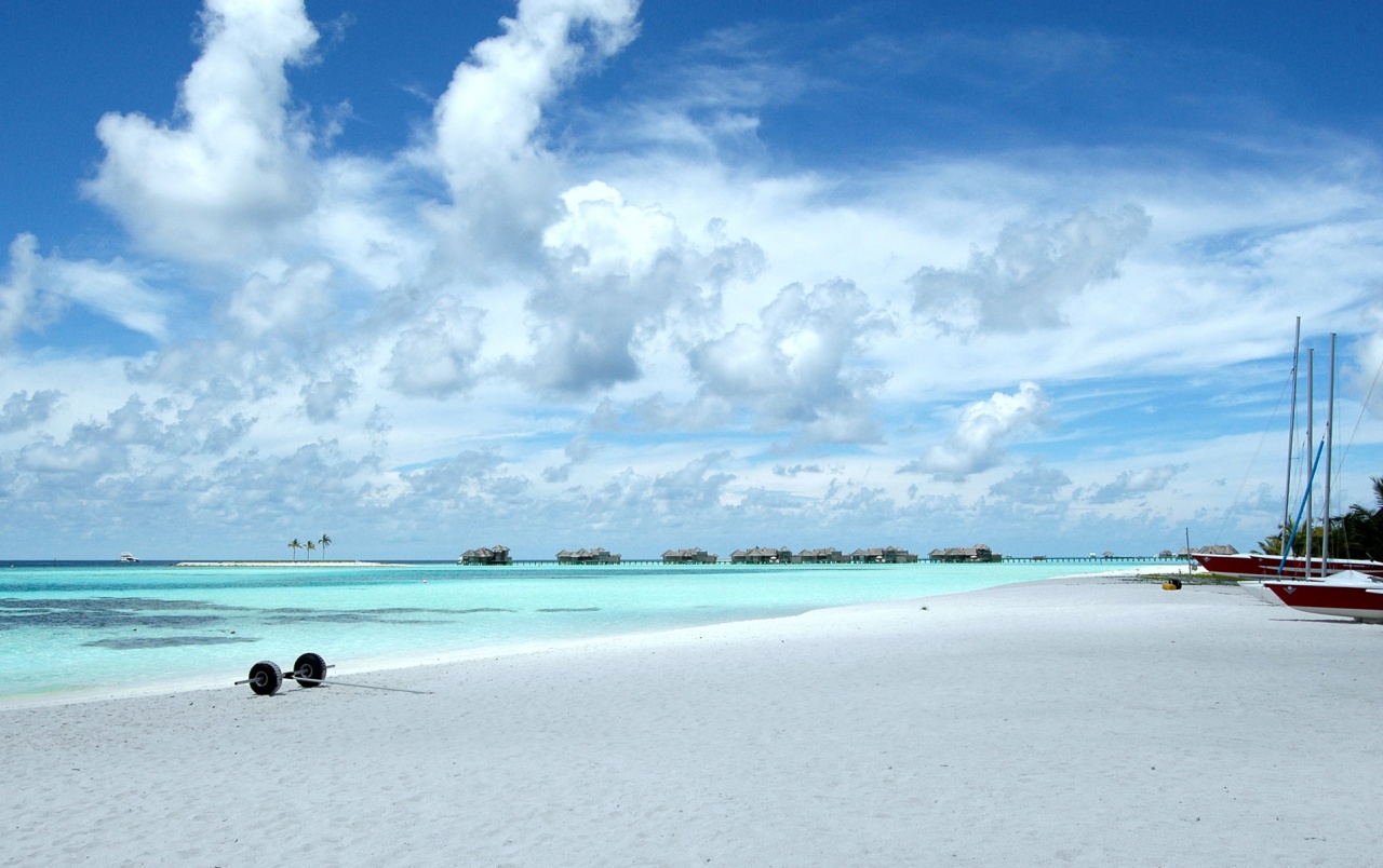 Wide The Maldives Wallpapers - White Beach Background , HD Wallpaper & Backgrounds