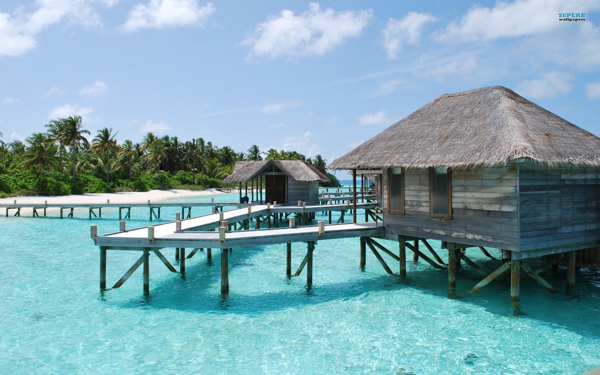 Are You Looking For Maldives Wallpaper Here Is A Collection - Maison Sur La Plage , HD Wallpaper & Backgrounds