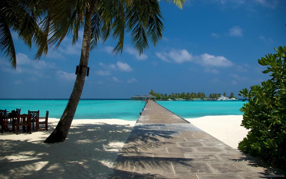 Beach Dock And Palm In Maldives Wallpaper - Обои На Рабочий Стол Hd Лето Мальдивы , HD Wallpaper & Backgrounds