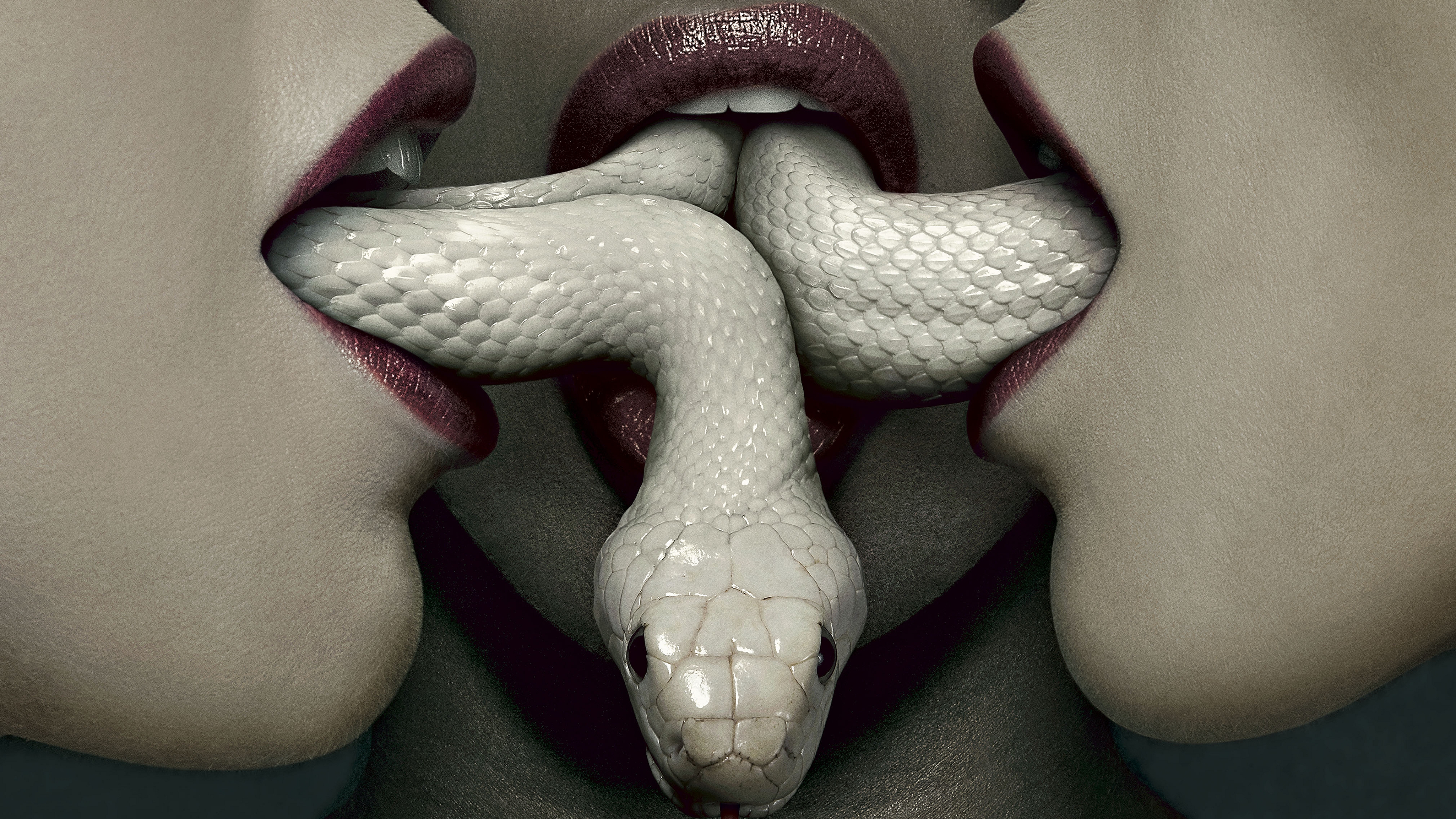 Preview American Horror Story Wallpaper - American Horror Story Coven Snake , HD Wallpaper & Backgrounds